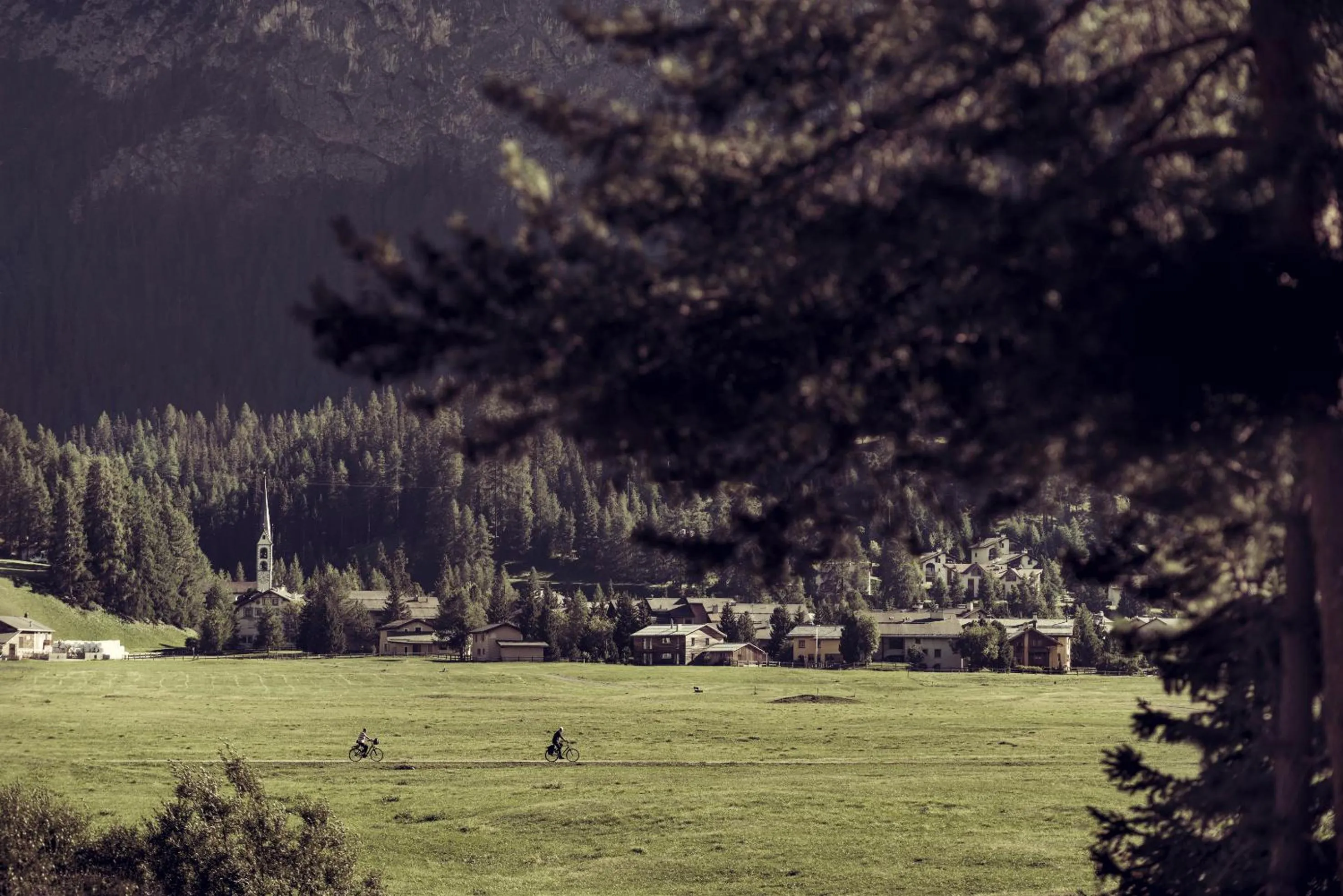 Area and facilities in Chesa Stuva Colani