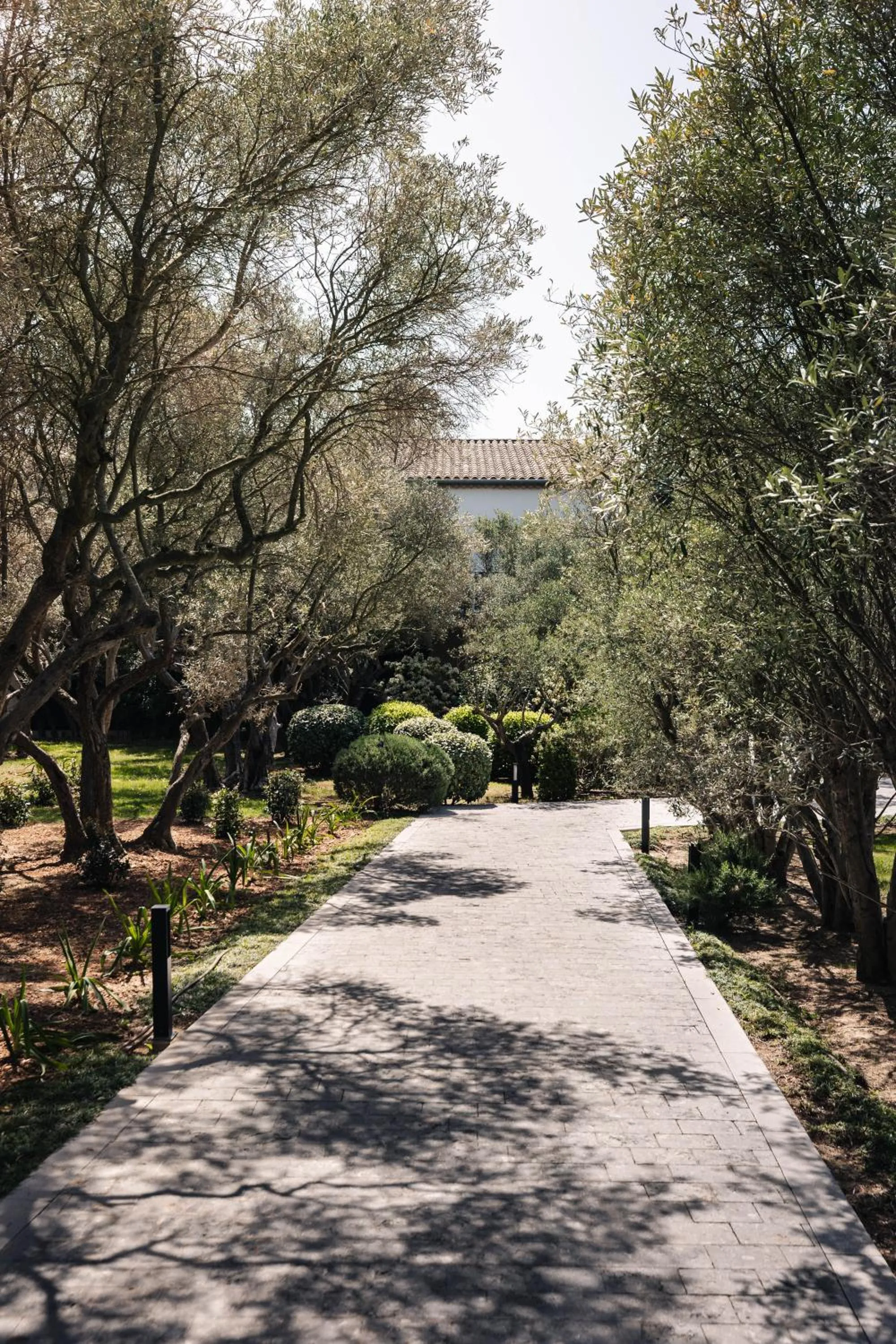 Property building in Bdesign & Spa