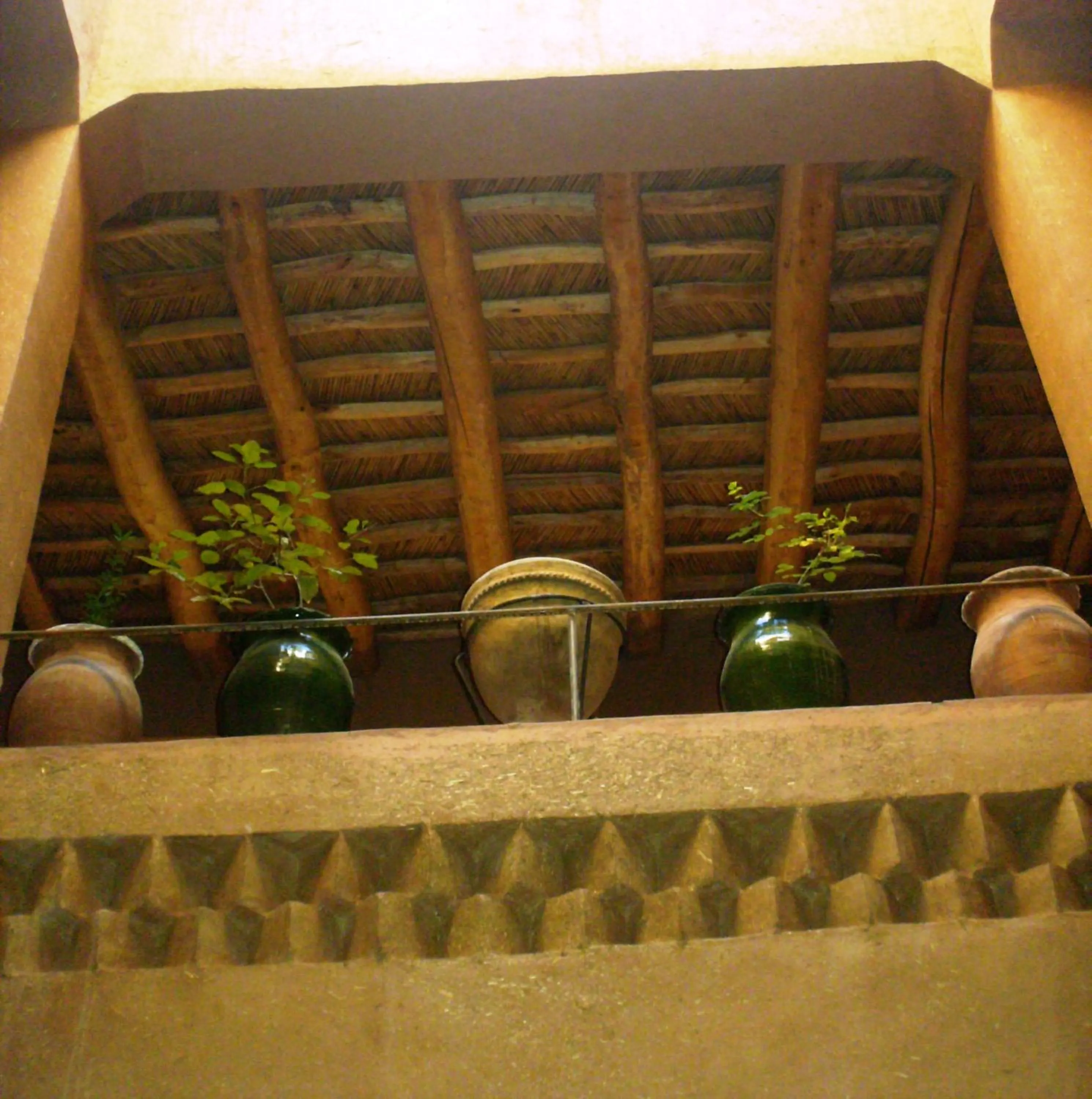 Other in Casbah d'hôte La Jeanne Tourisme Ecologique