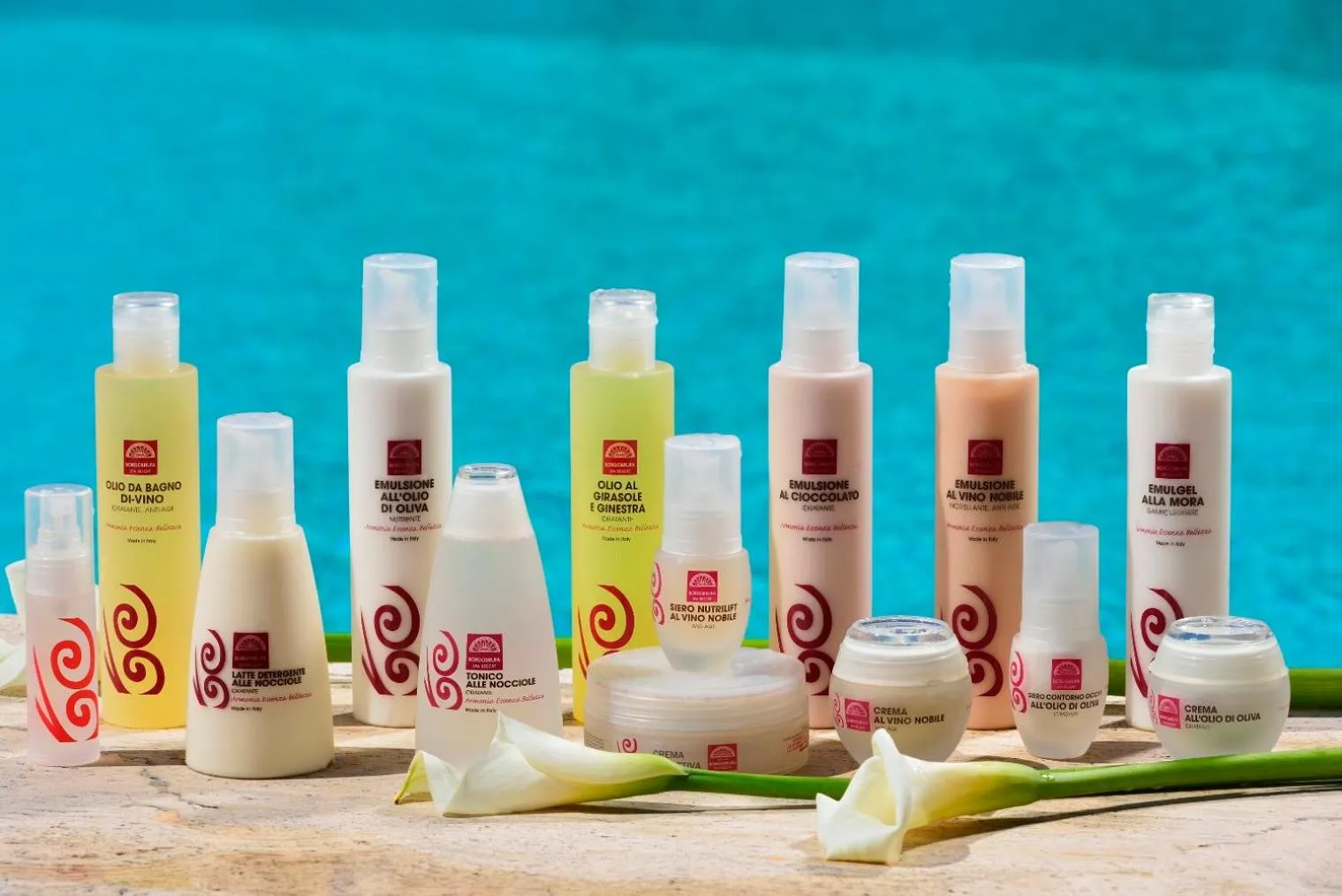 Spa and wellness centre/facilities in Borgobrufa Spa Resort Adults Only