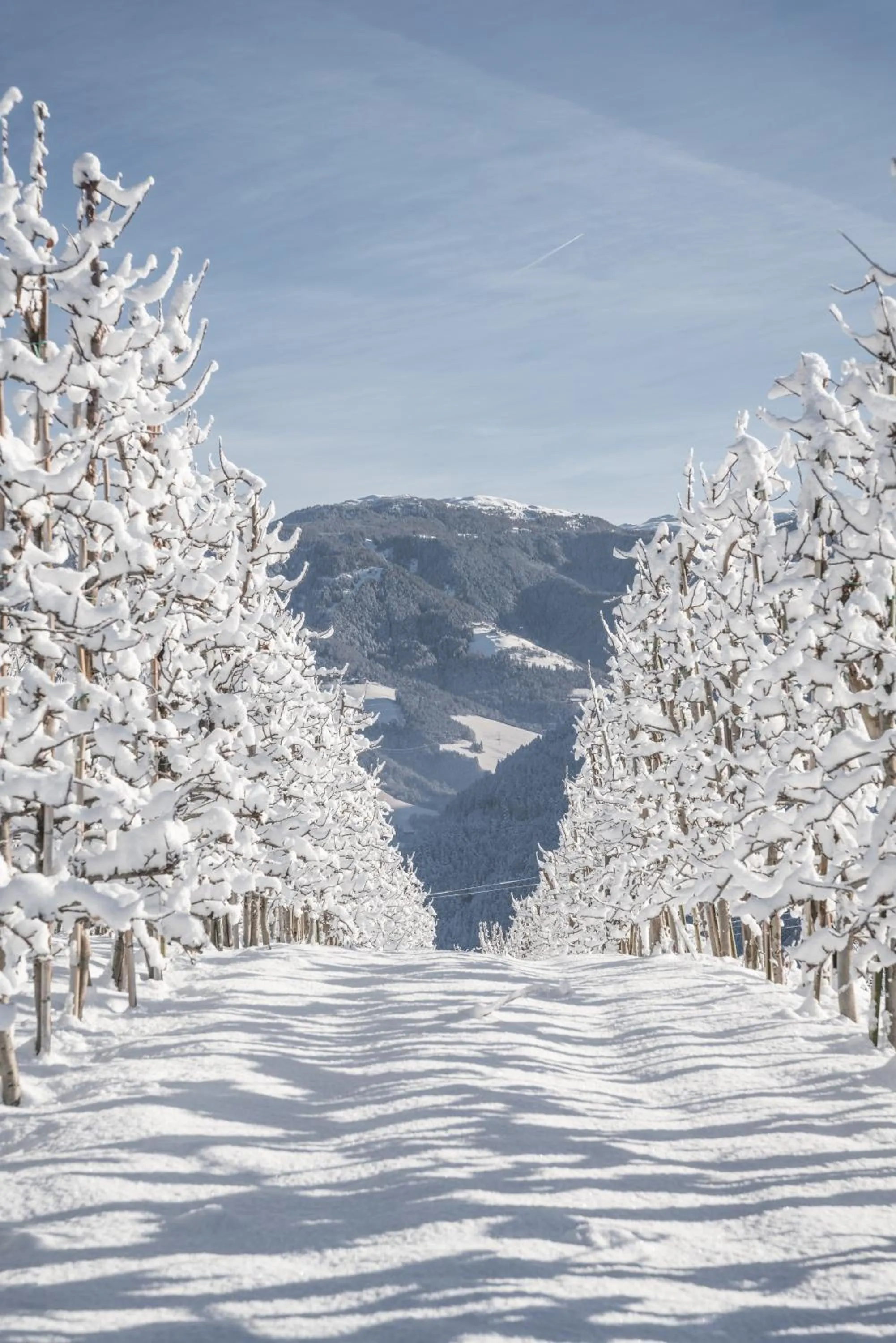 Natural landscape in Laurena Aparthotel