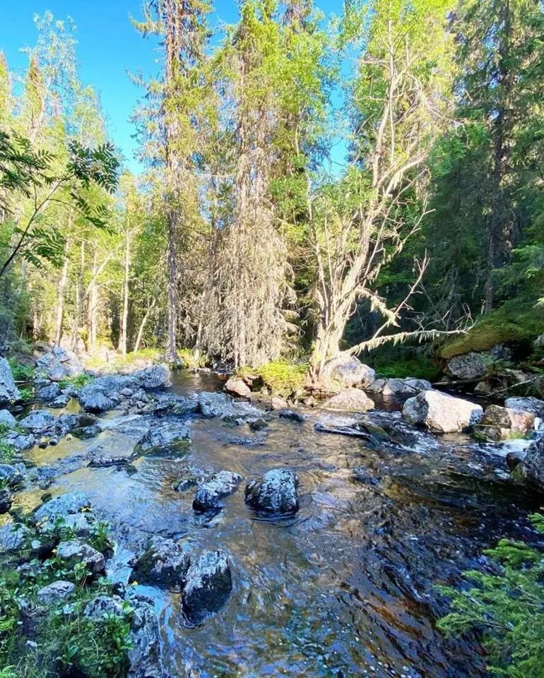 Sonfjällsgårdens Wärdshus & Hotell