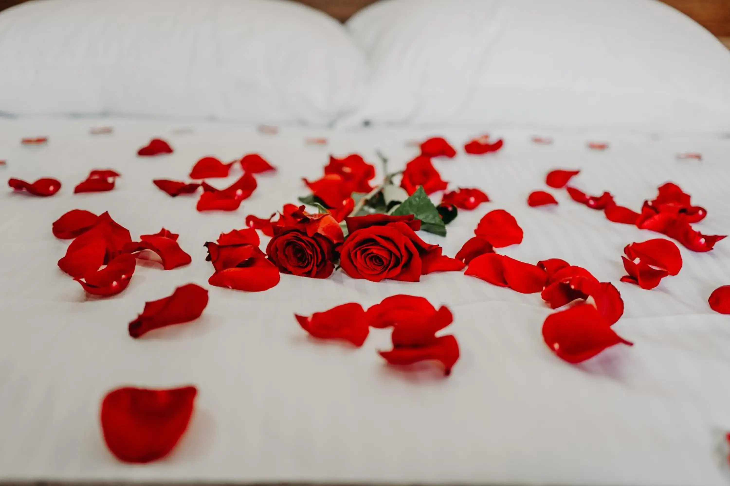 Double Room with Lake View in Hotel Noor Konjic Double Room with Lake View in Hotel Noor Konjic