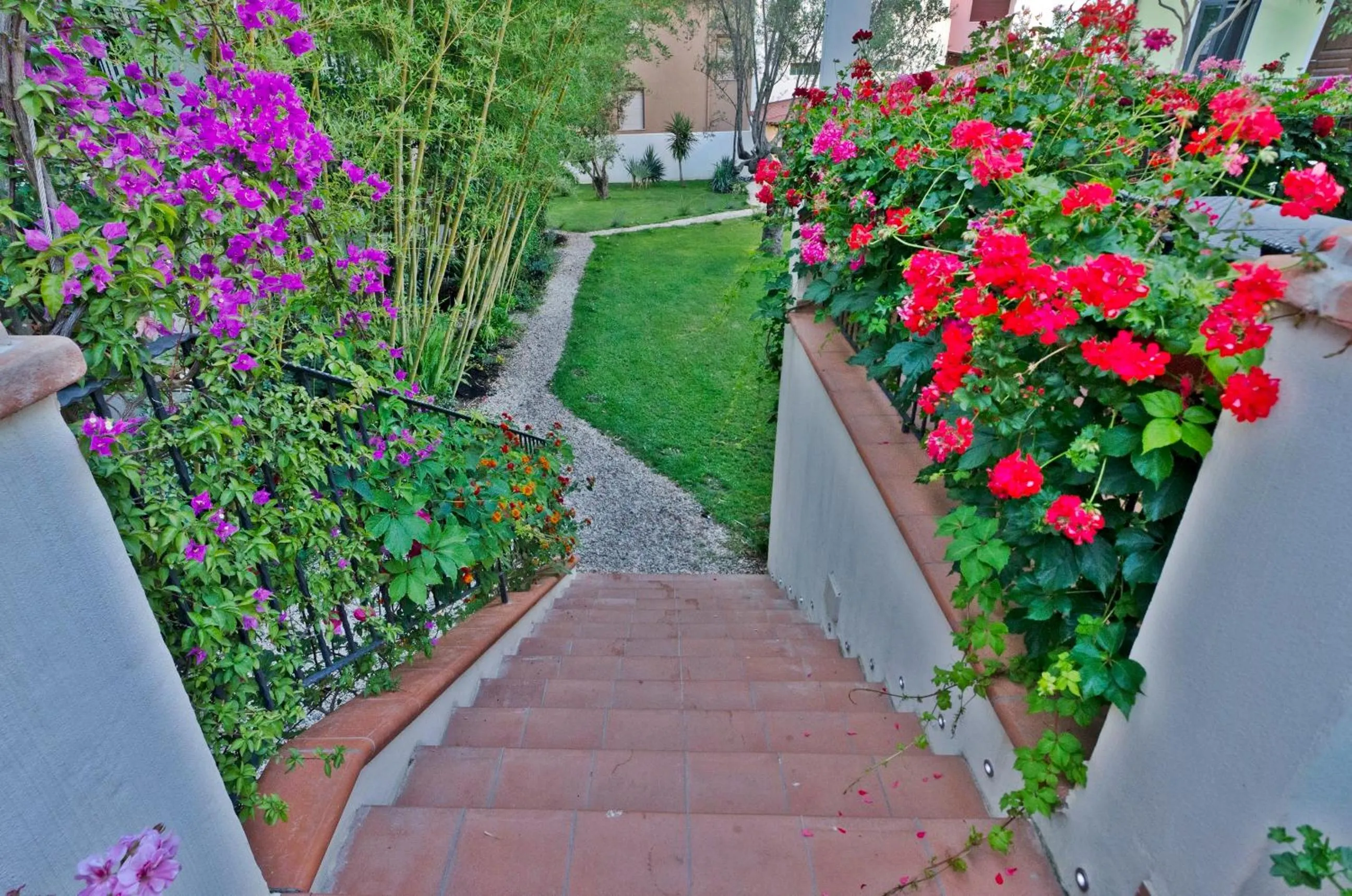 Garden view in Hotel Santa Maria