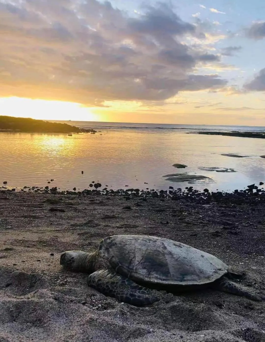 Natural landscape in Alii Villas Condominiums