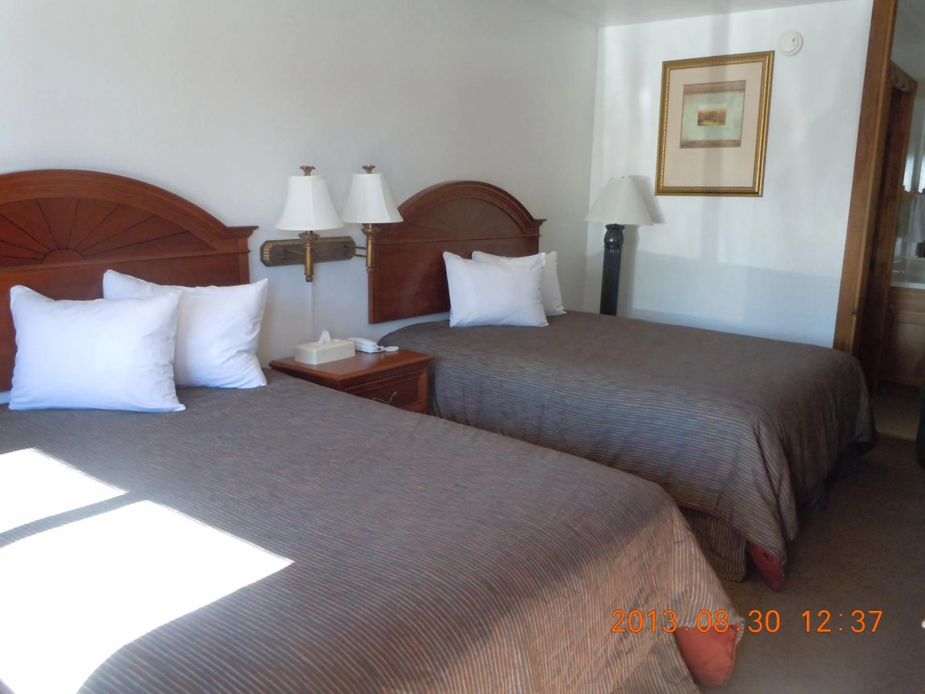 Day, Bed in High Country Motel