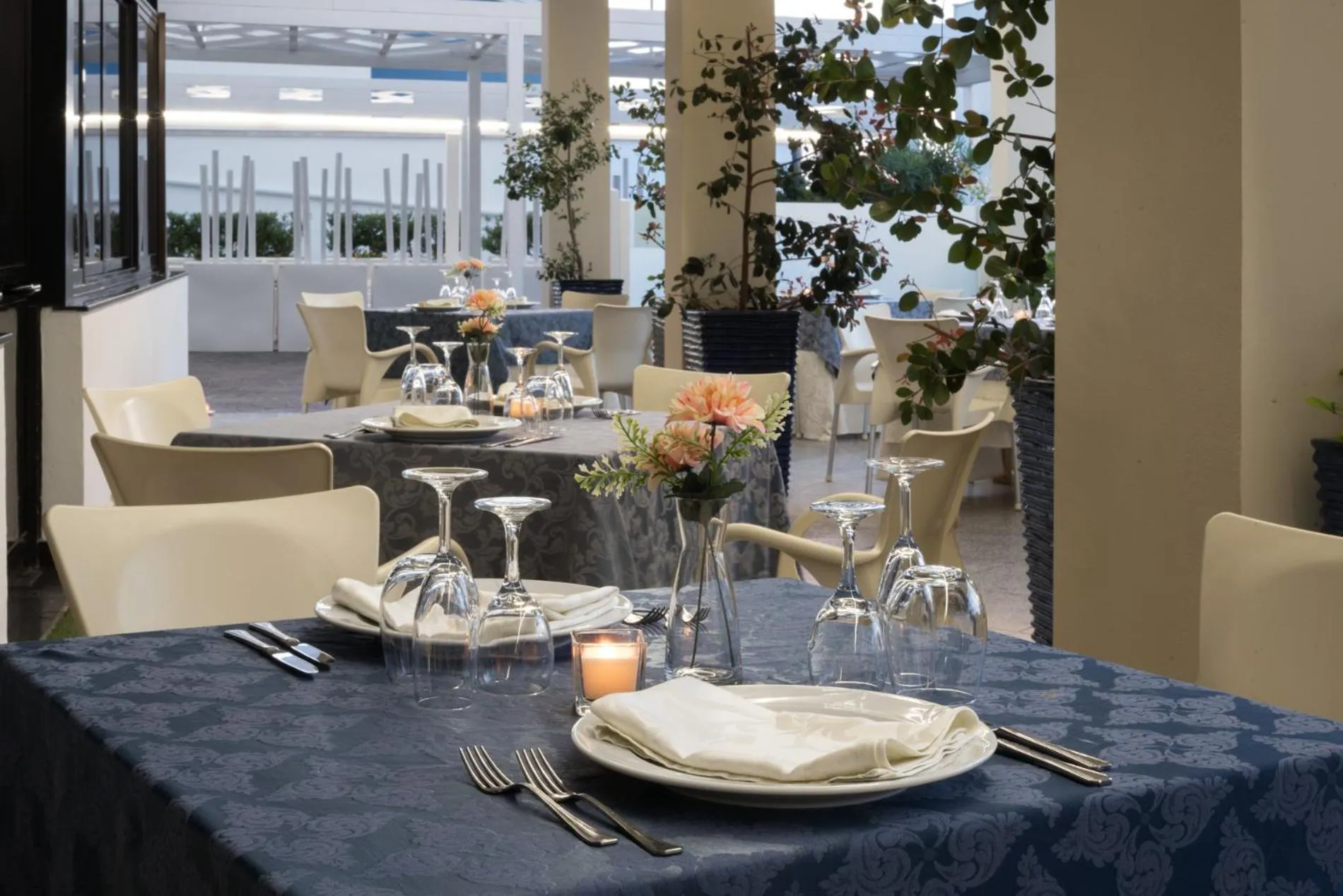 Restaurant/places to eat in Hotel Luna Lido