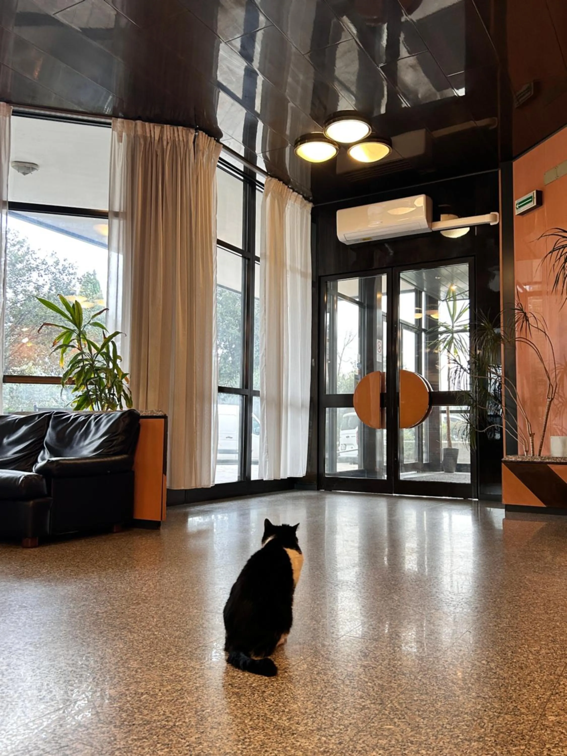 Animals in La Fenice Hotel