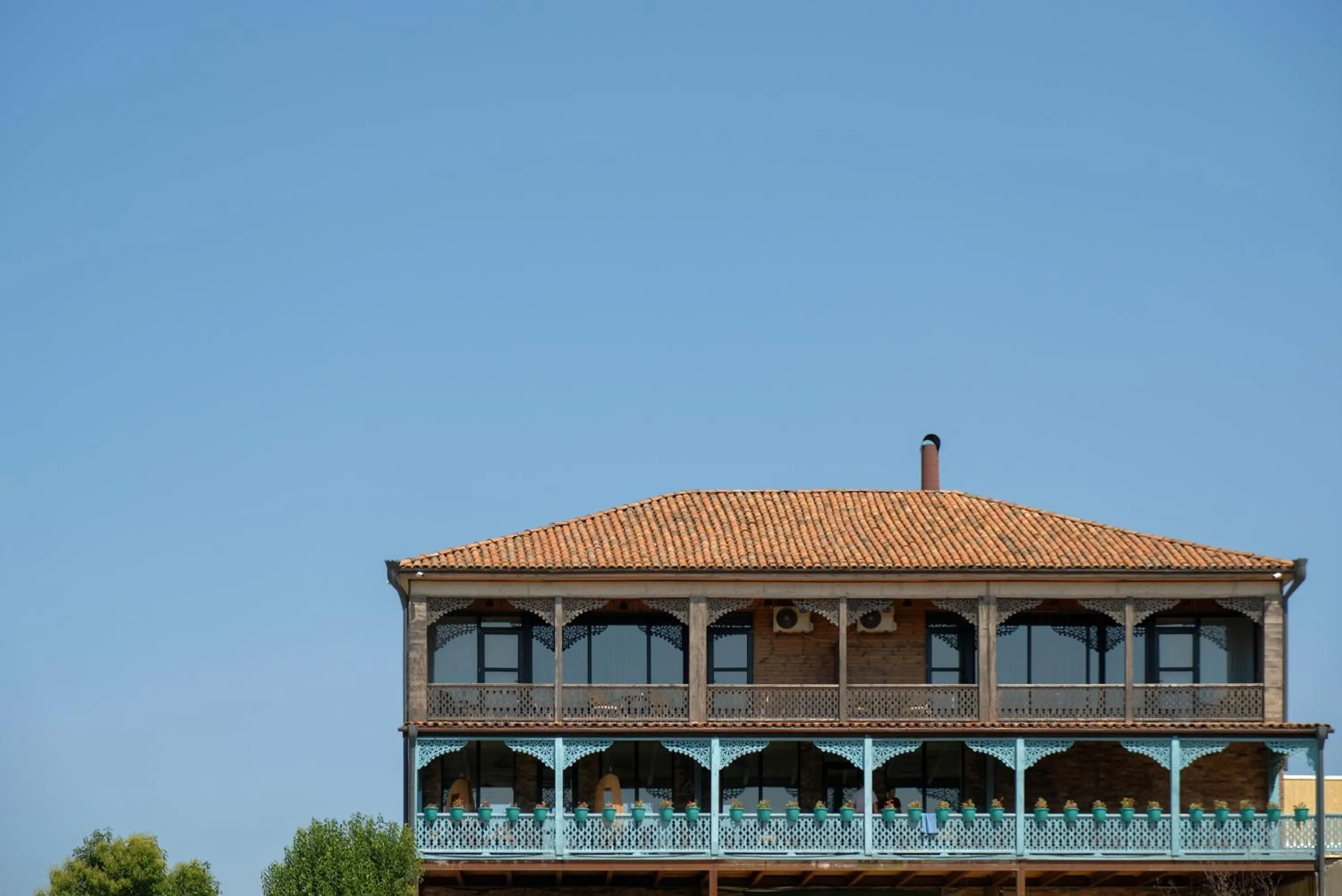 Property building in Chateau Vartsikhe