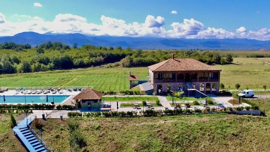 Property building in Chateau Vartsikhe