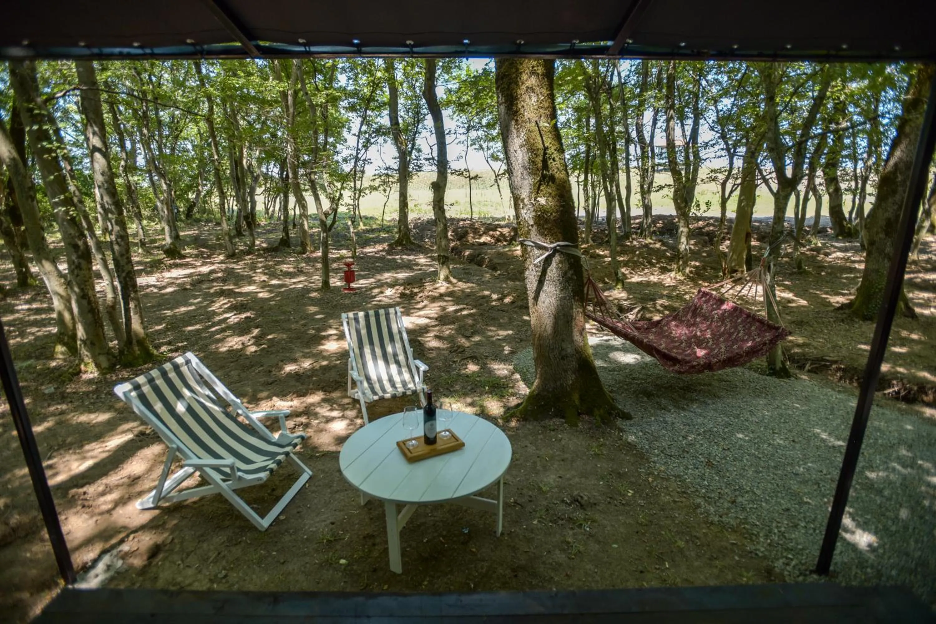 Patio in Chateau Vartsikhe