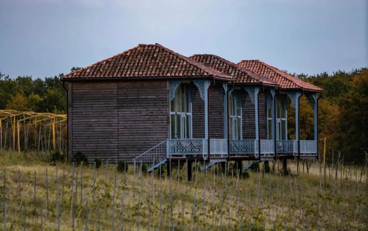 Property building in Chateau Vartsikhe