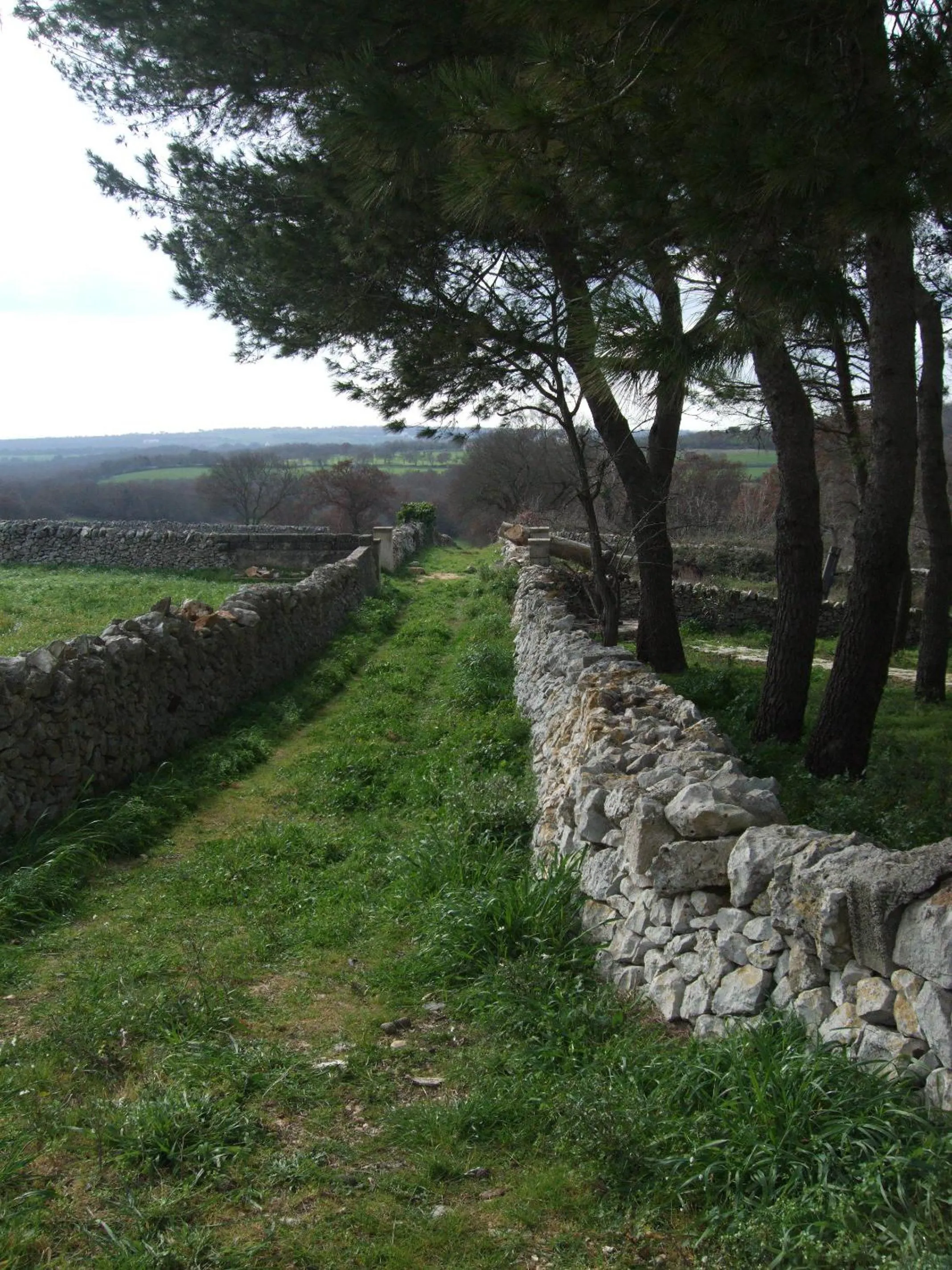 Facade/entrance in Apulia Victor Country Hotel