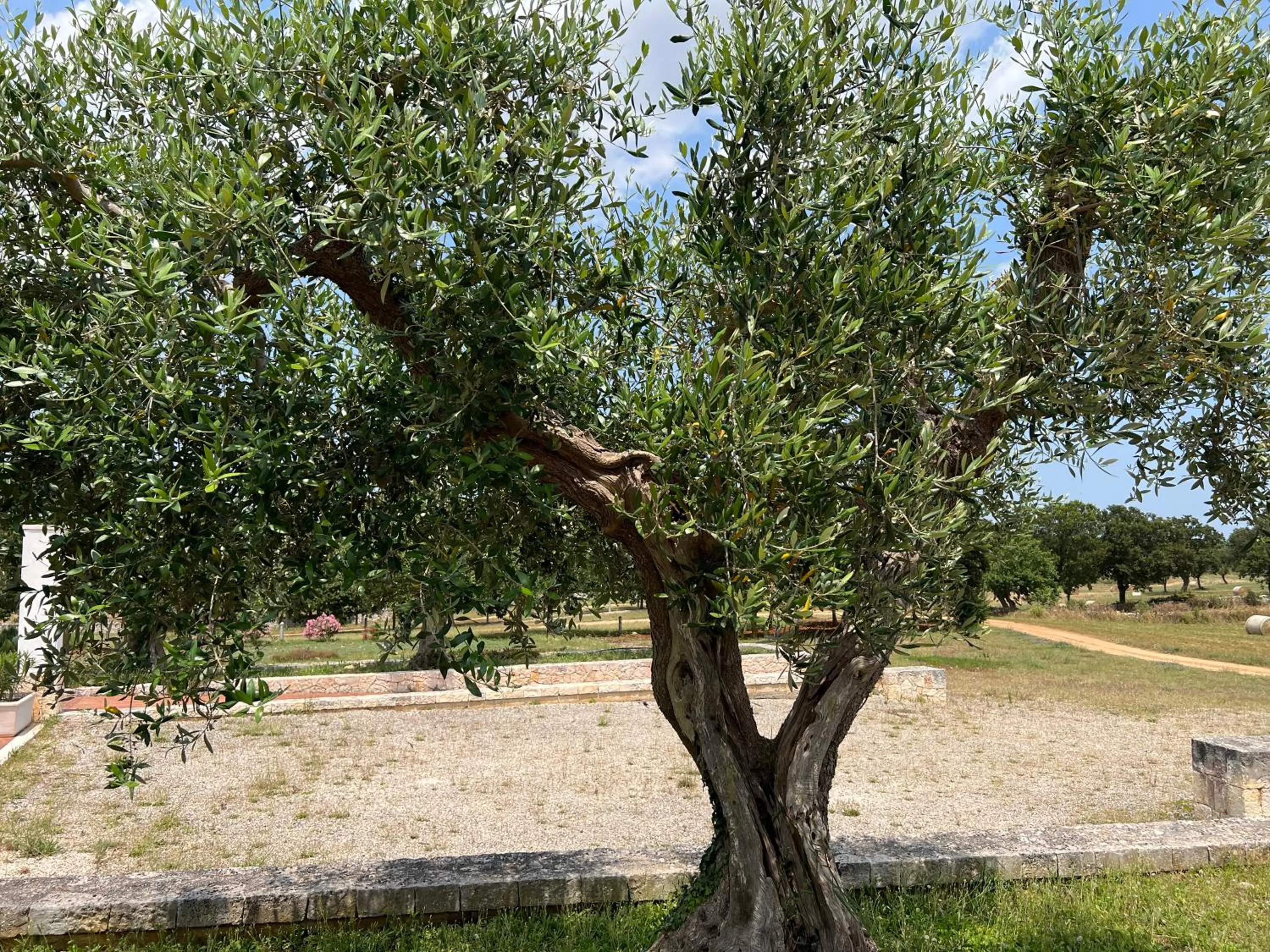 Apulia Victor Country Hotel