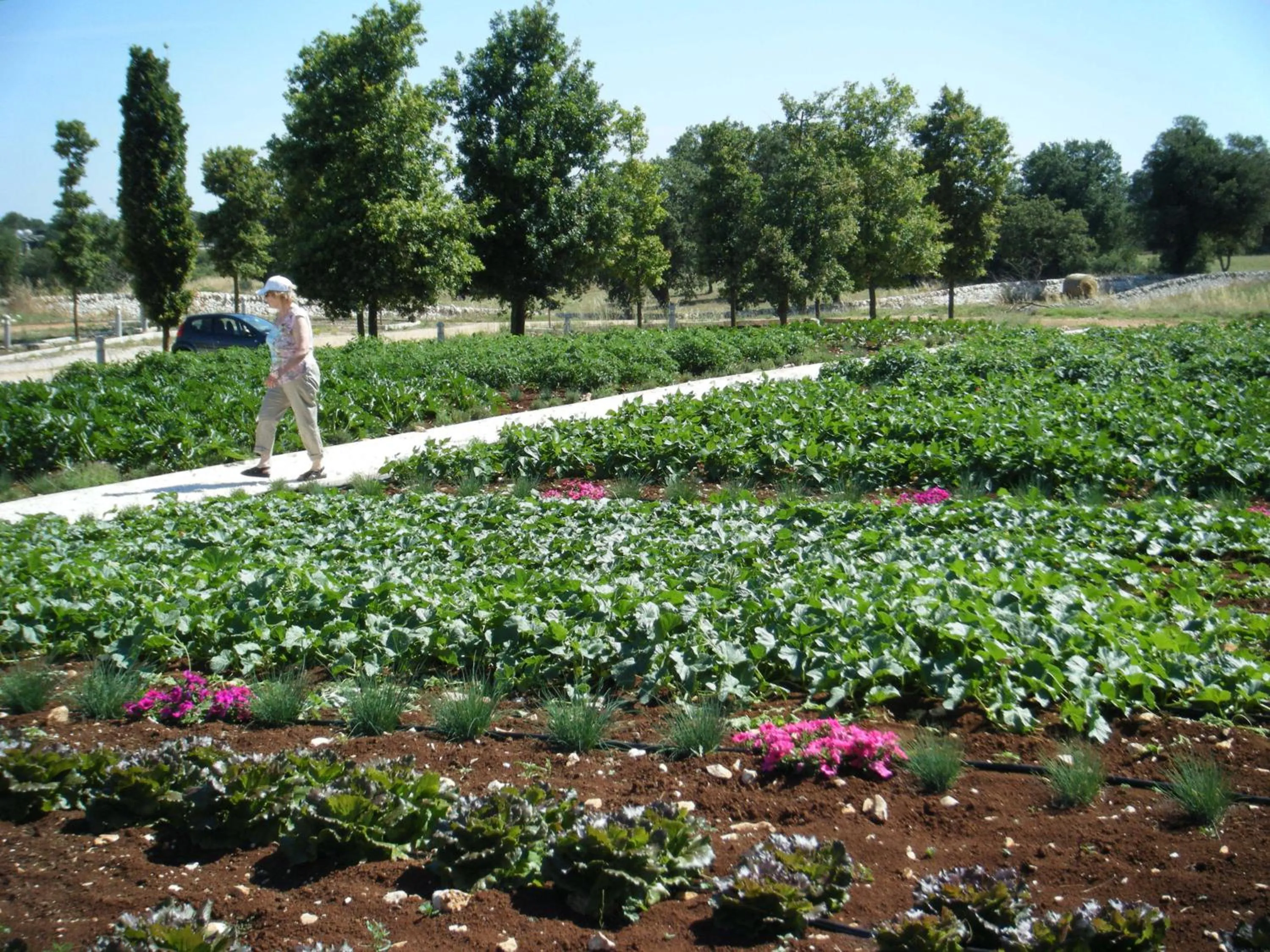 Garden in Apulia Victor Country Hotel