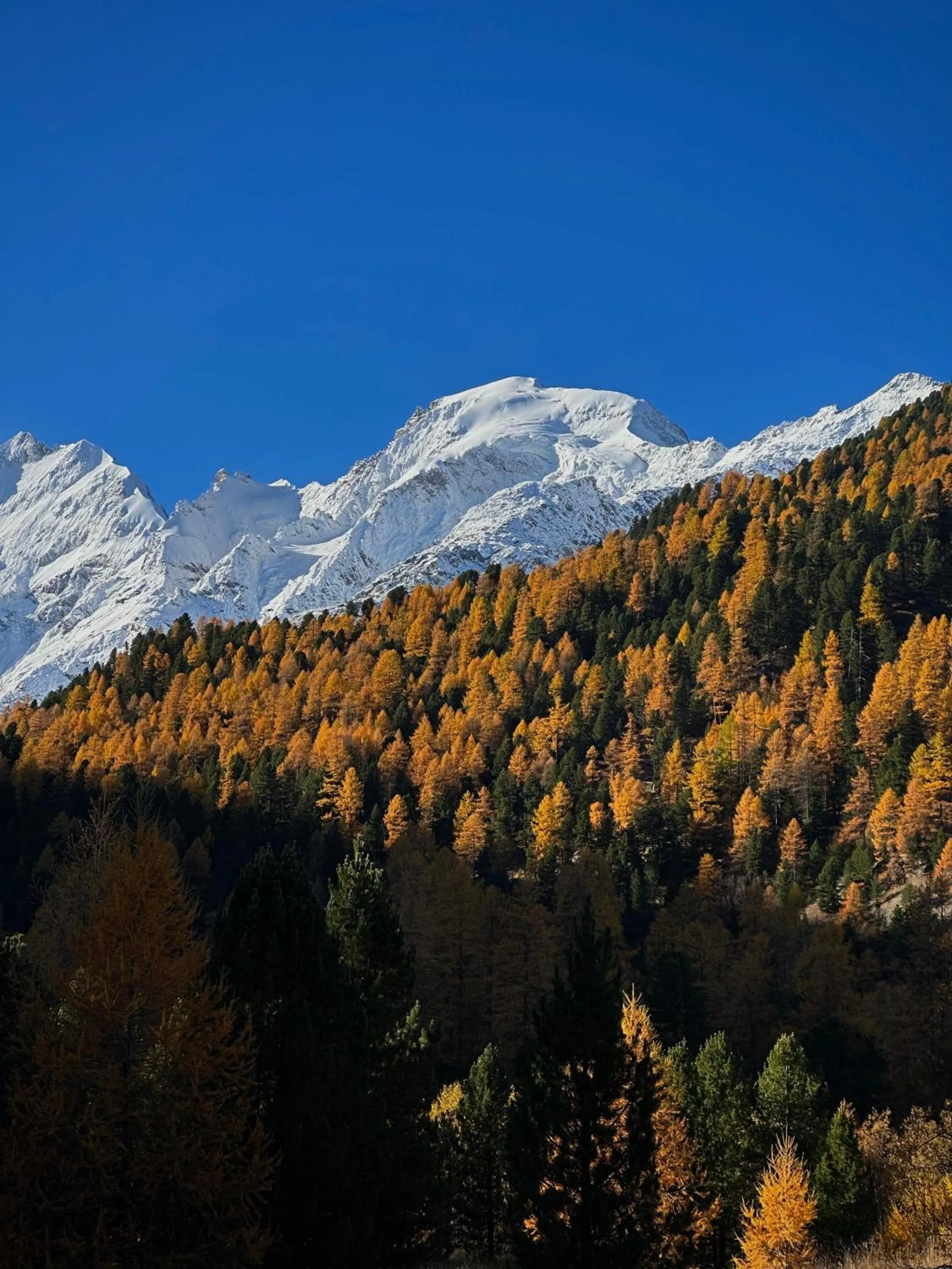 Natural landscape in Hotel GRACE LA MARGNA ST MORITZ