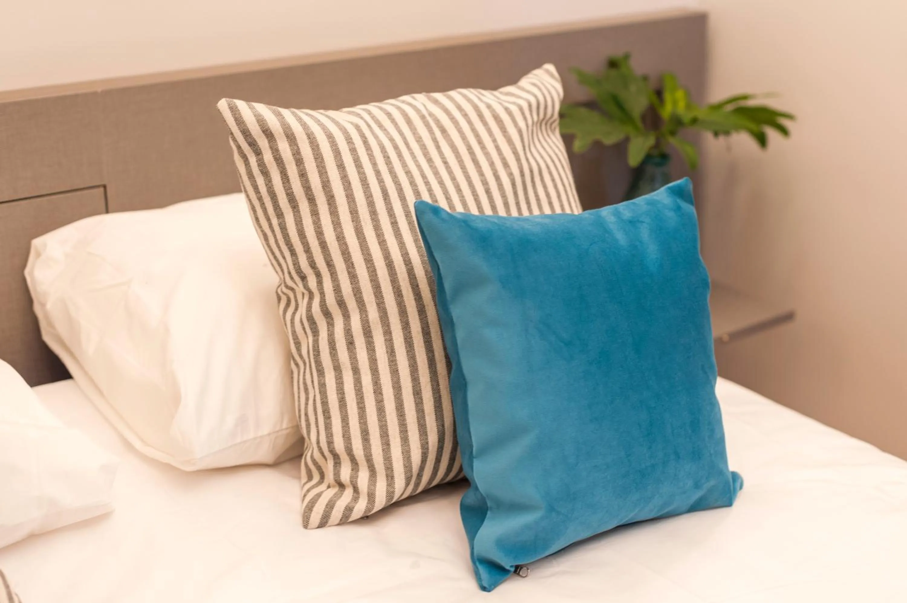 Bed in Sarmiento Flats