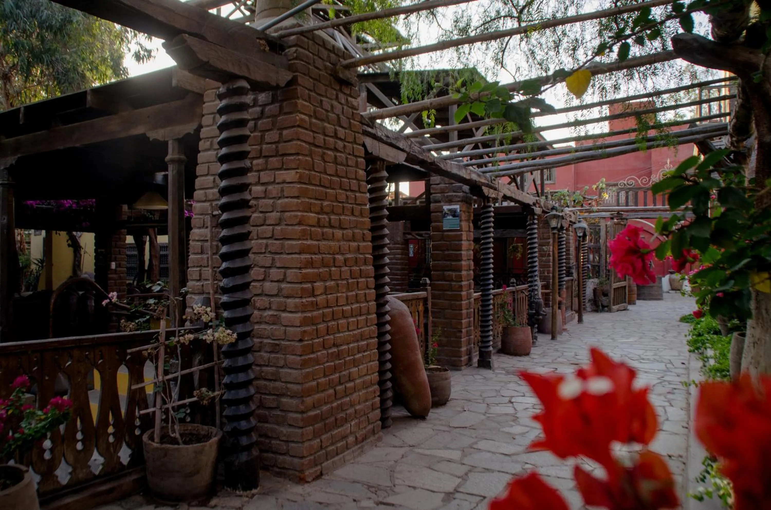 Garden view in Hotel & Hacienda El Carmelo