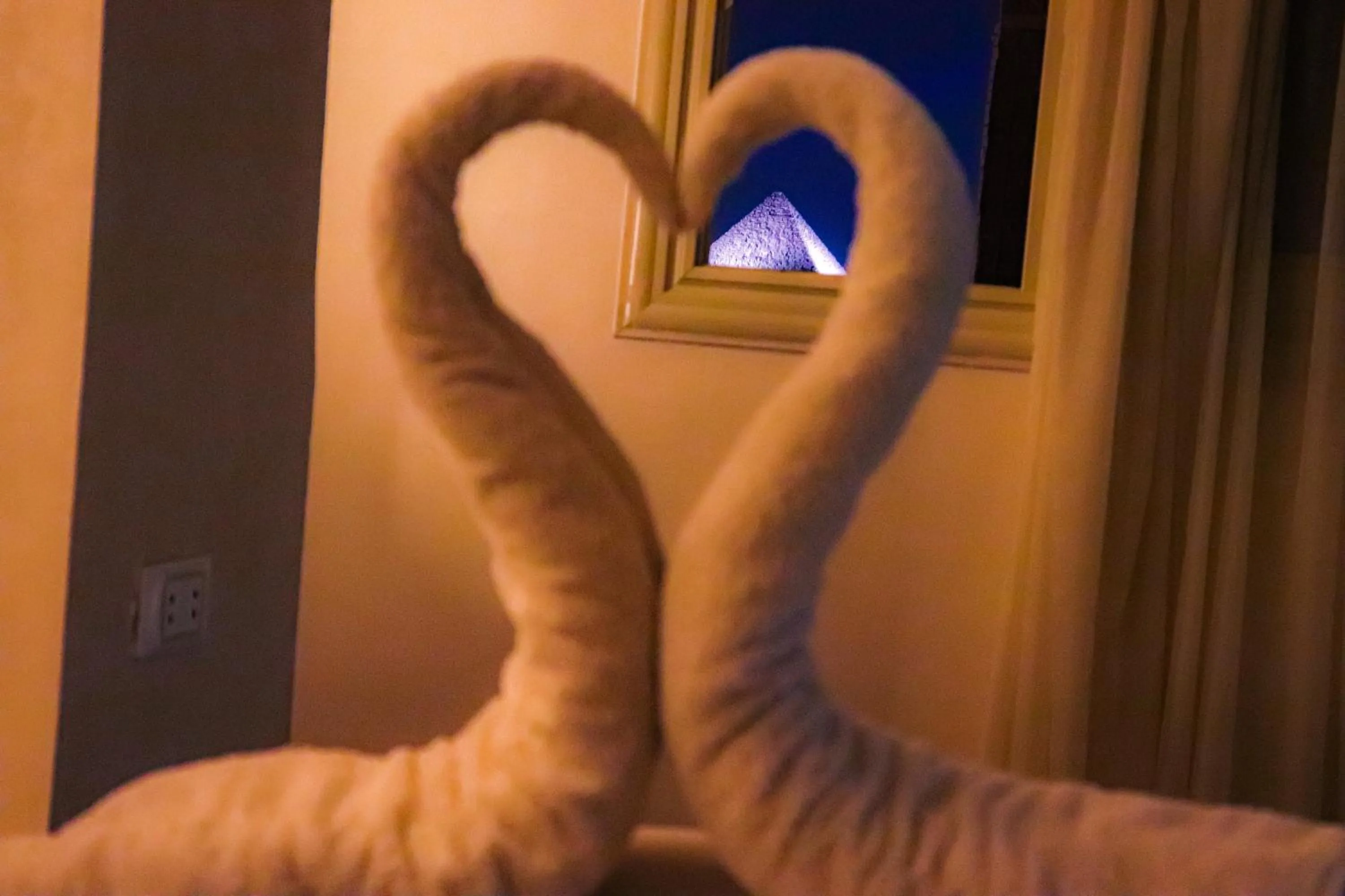 Pets in Golden Pyramids Inn