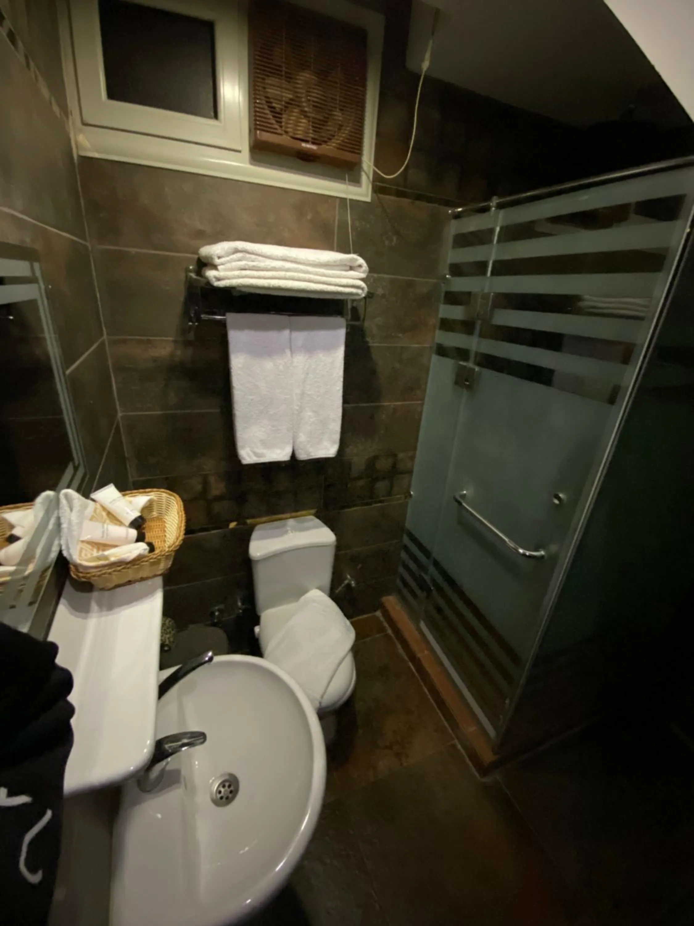 Toilet in Golden Pyramids Inn