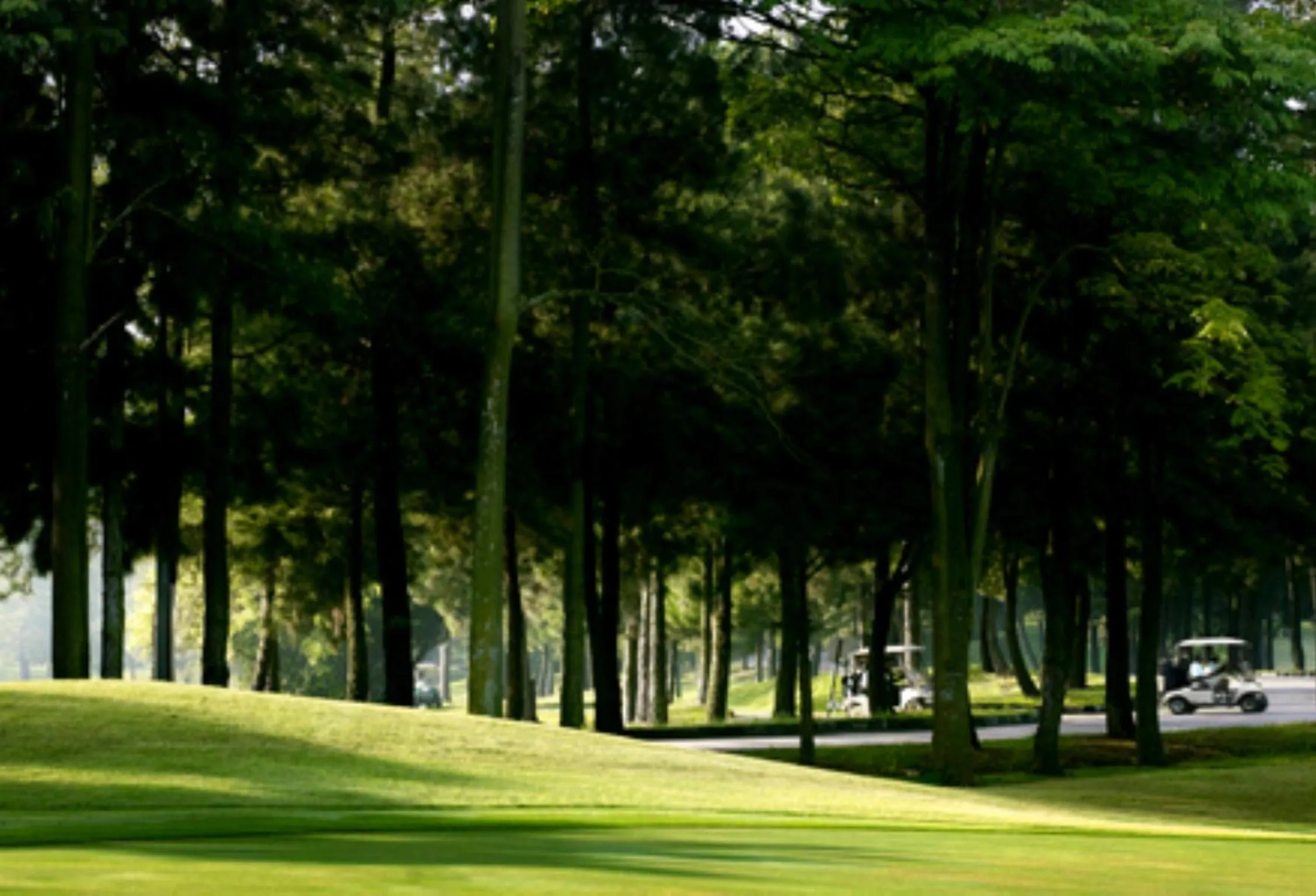 Golfcourse in Ponderosa Golf & Country Resort