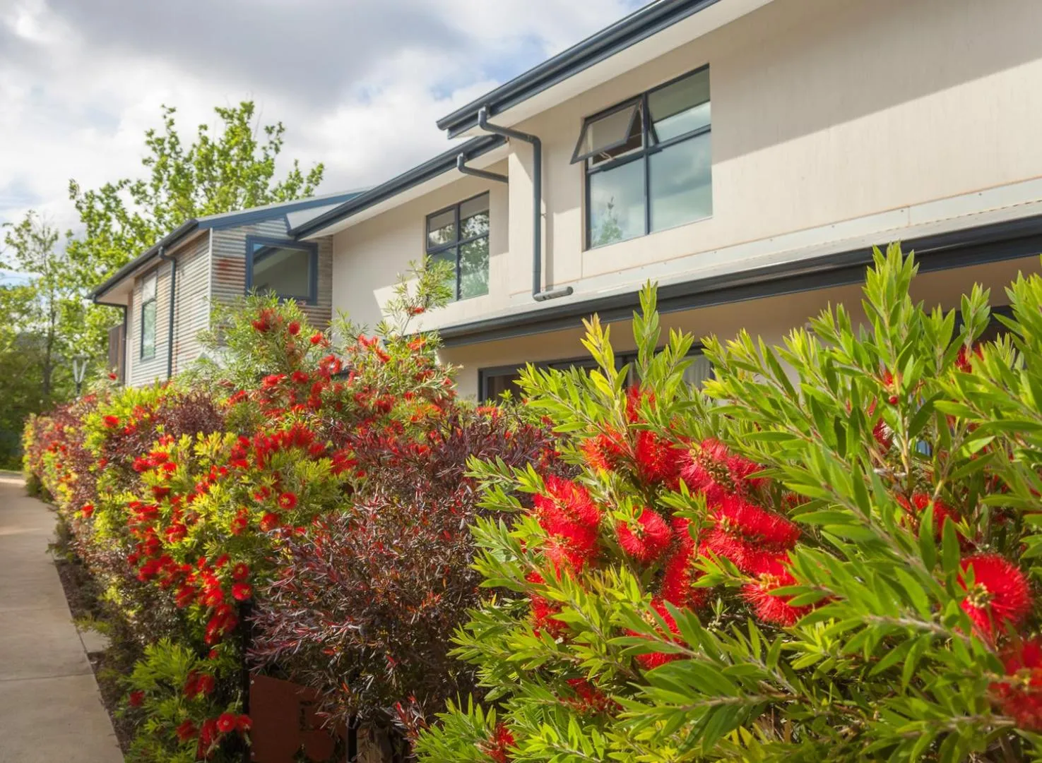 Garden, Property Building in One of a Kind Apartments