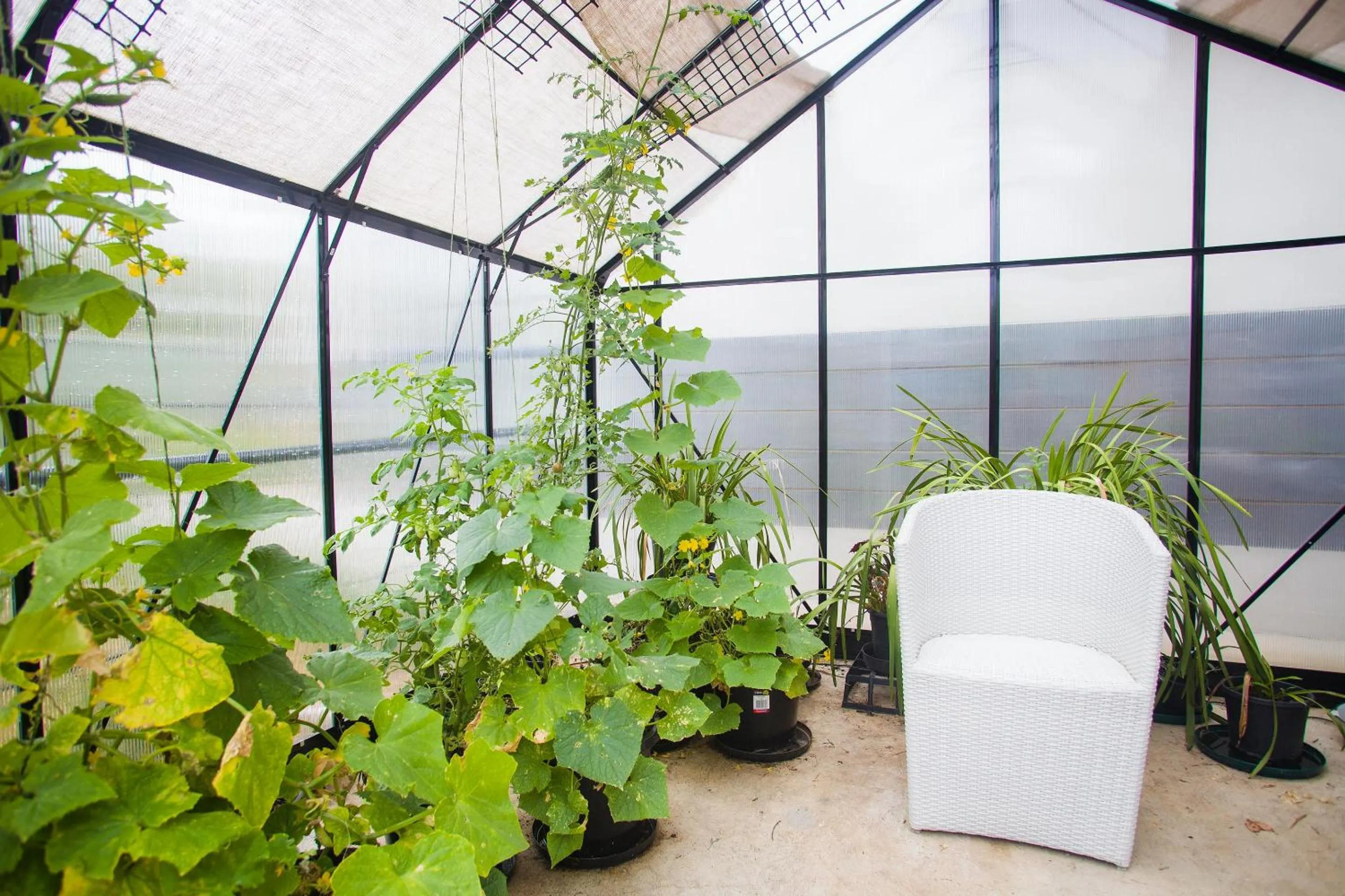 Garden in One of a Kind Apartments