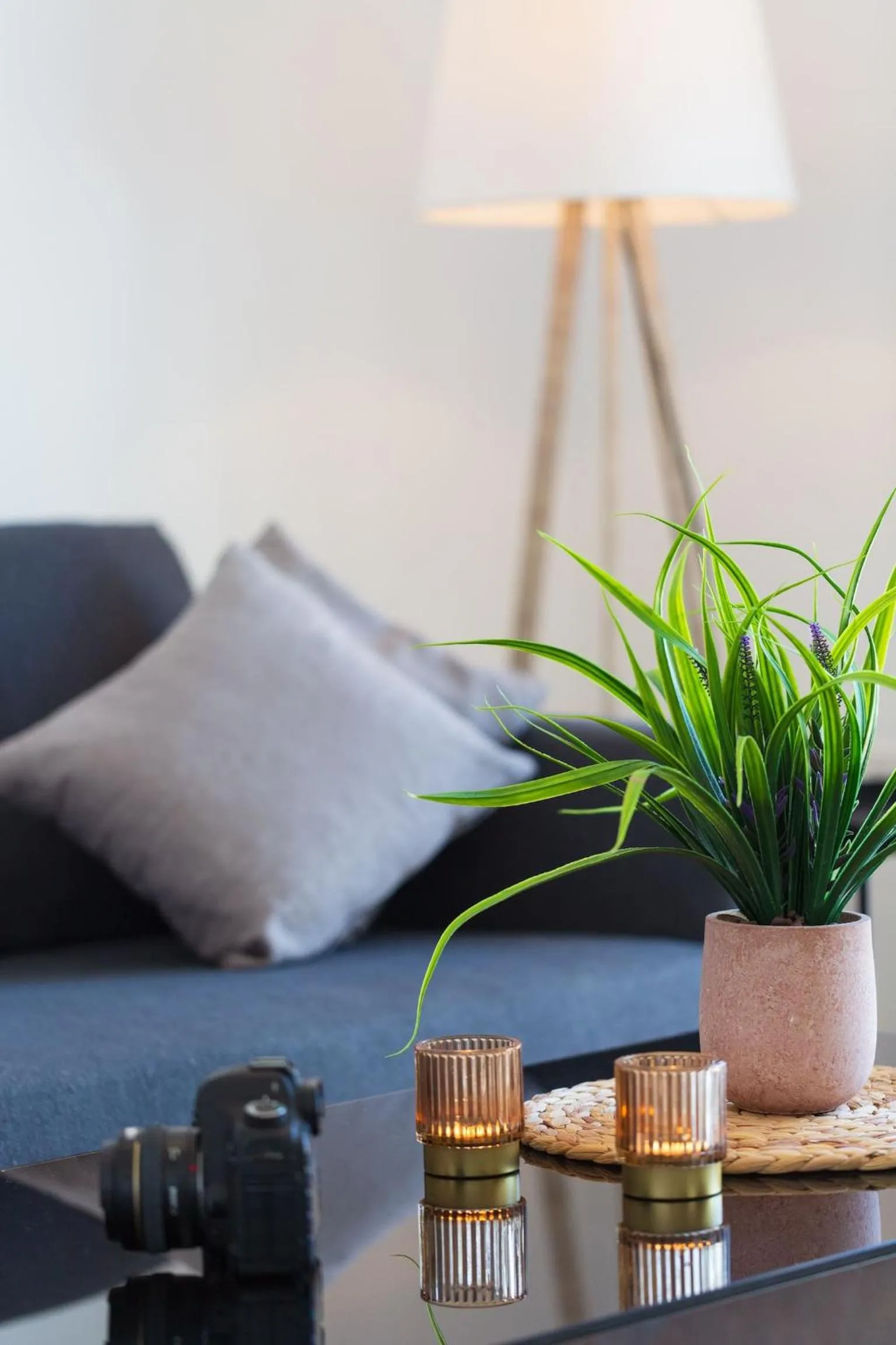 Other in Artemis Cynthia Complex