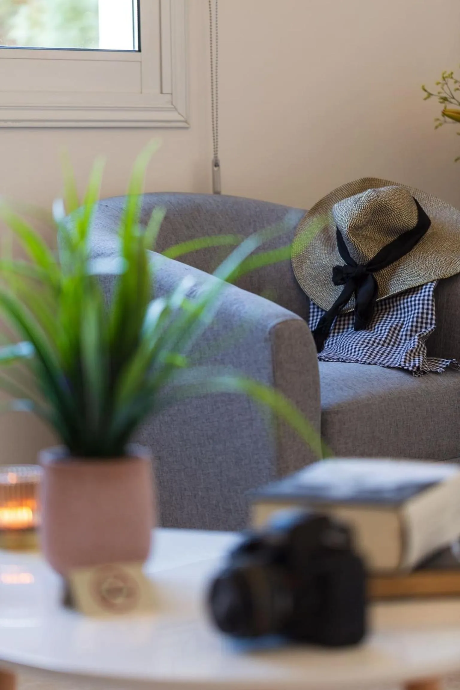 Other in Artemis Cynthia Complex