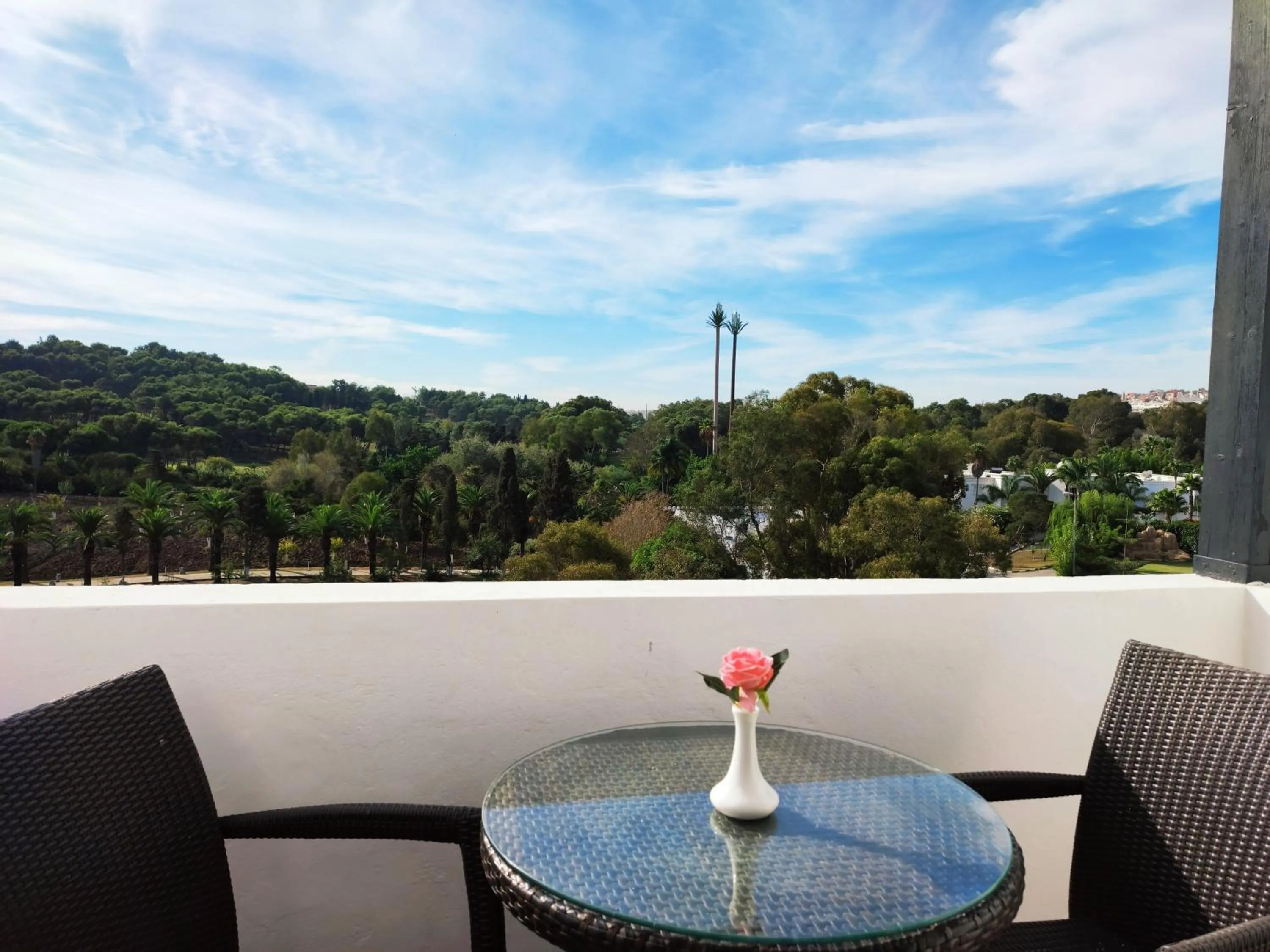 Balcony/Terrace in Hotel Andalucia Tangier