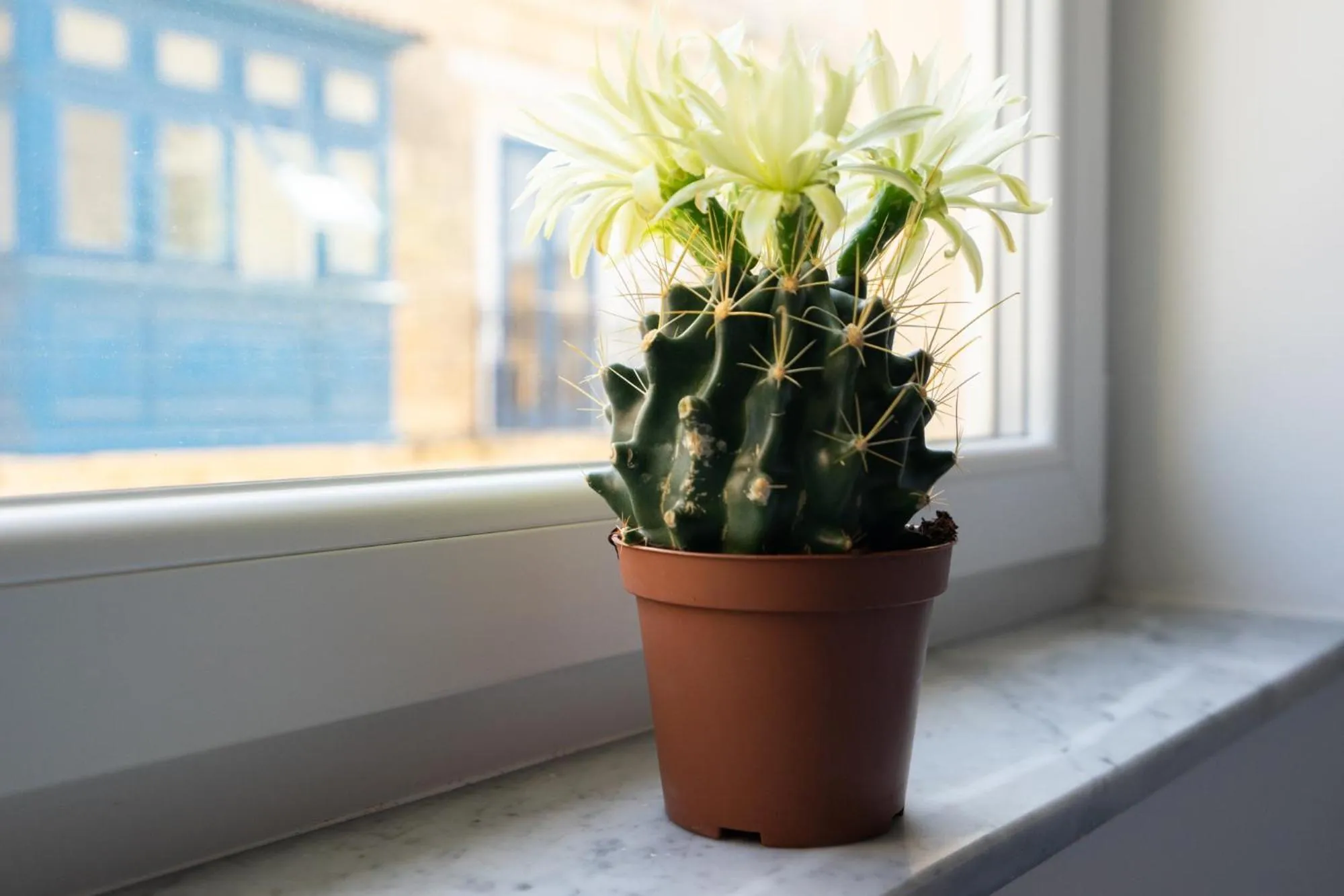 Decorative detail in Marina Studios