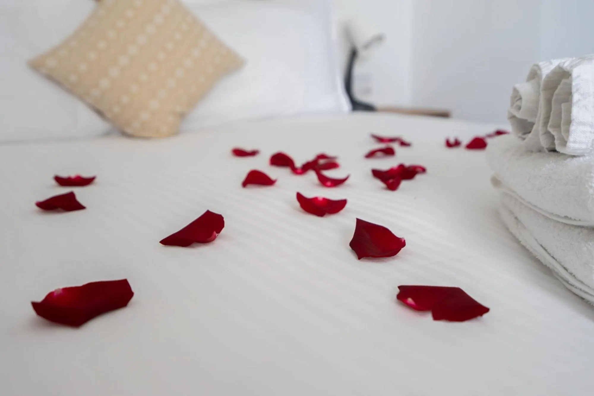 Bed in Marina Studios