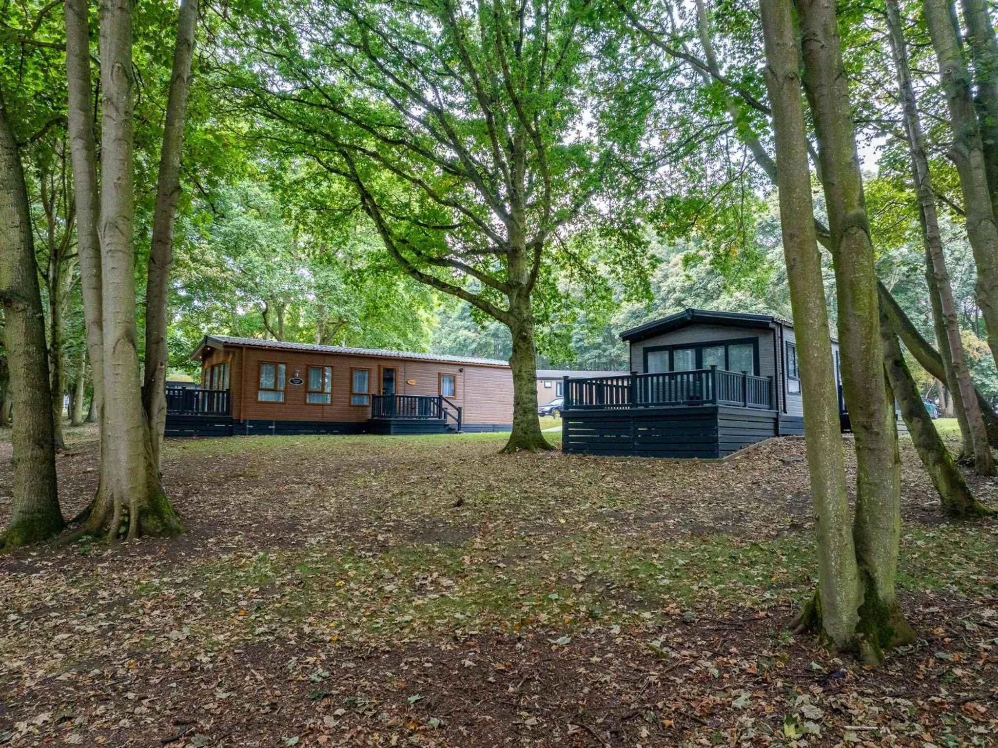 Property building in Woolverstone Marina and Lodge Park