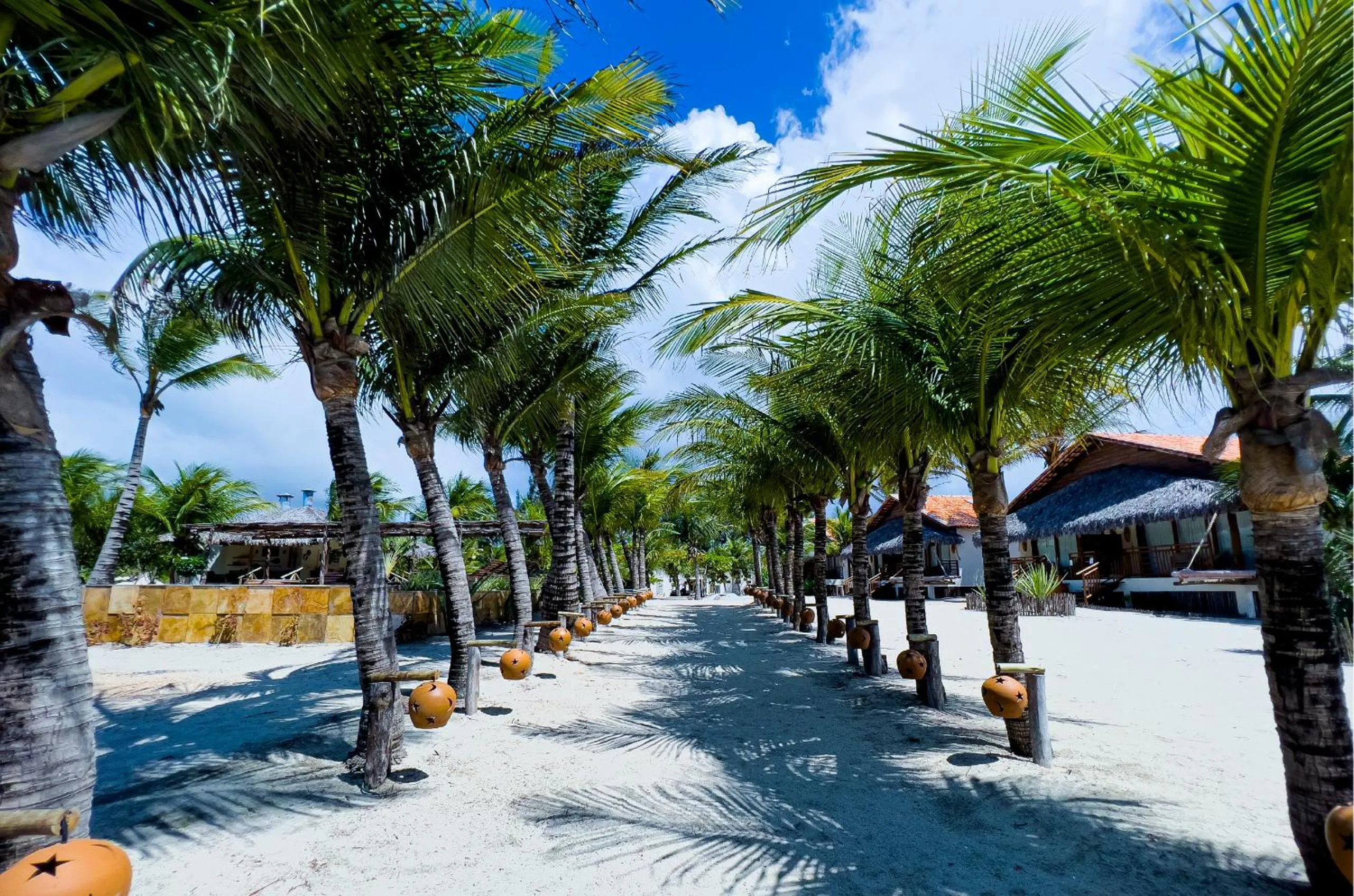 Garden in Pousada Luna - D3 Experience - Preá, CE