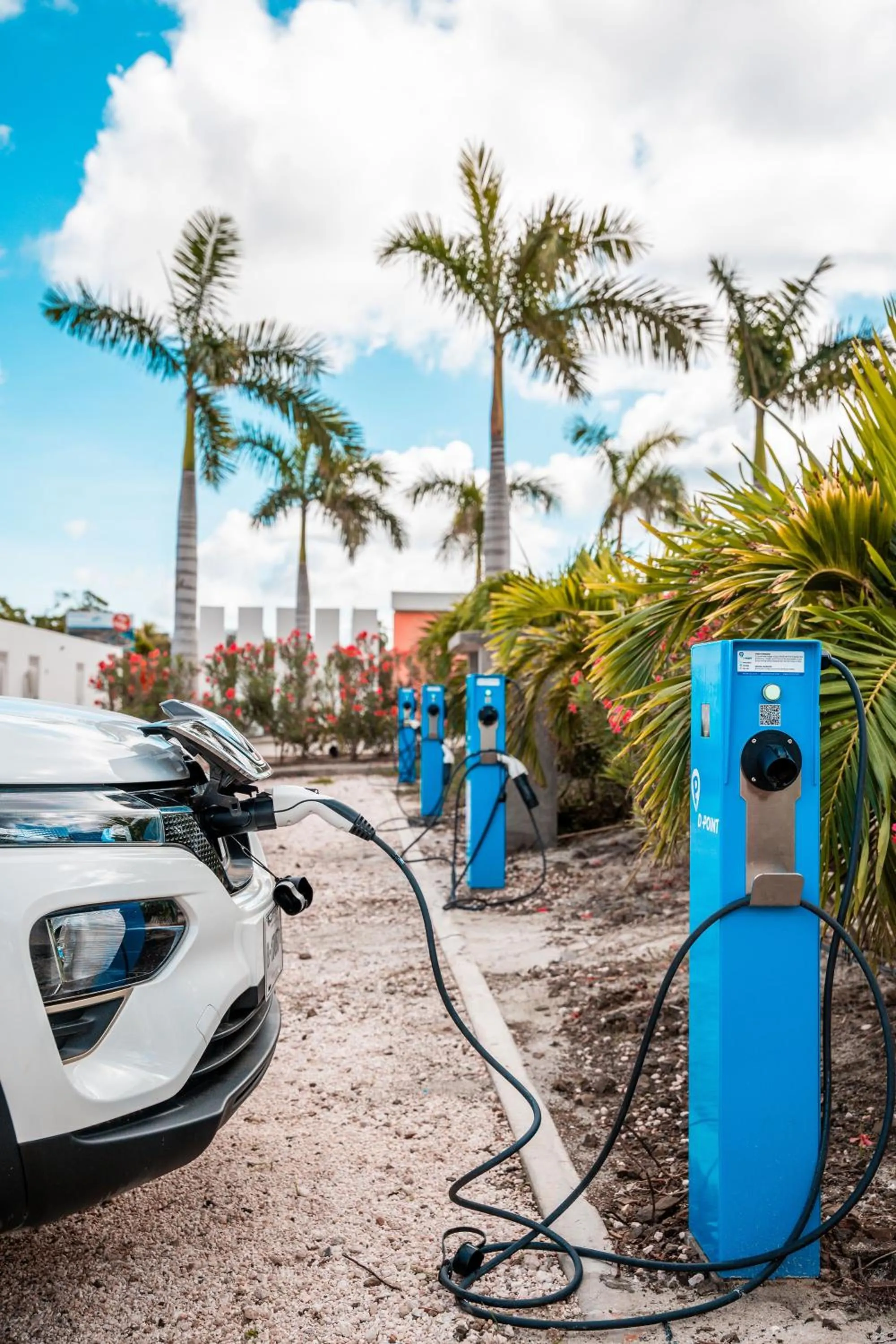 Parking in Chogogo Dive & Beach Resort Bonaire