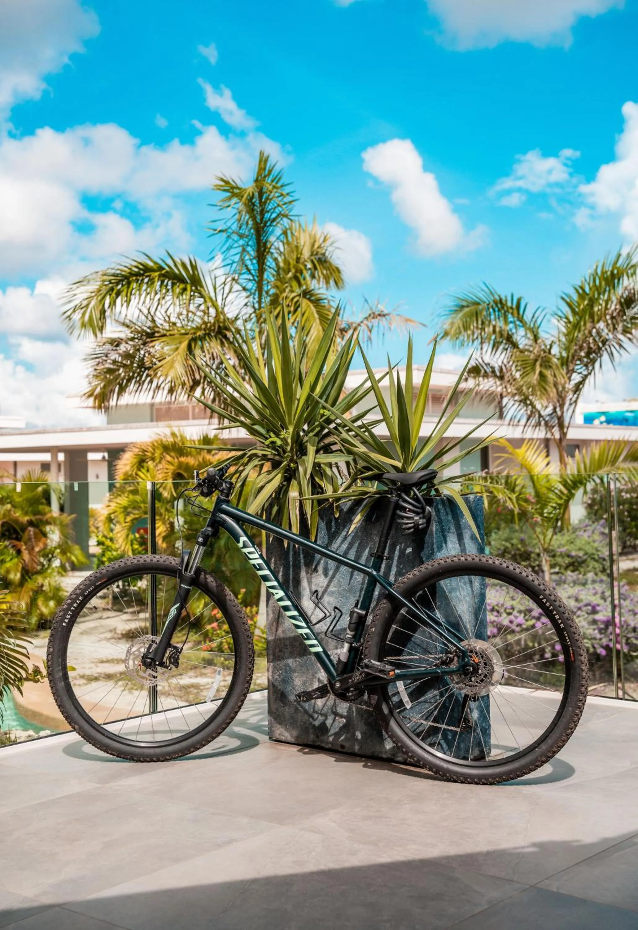 Day in Chogogo Dive & Beach Resort Bonaire