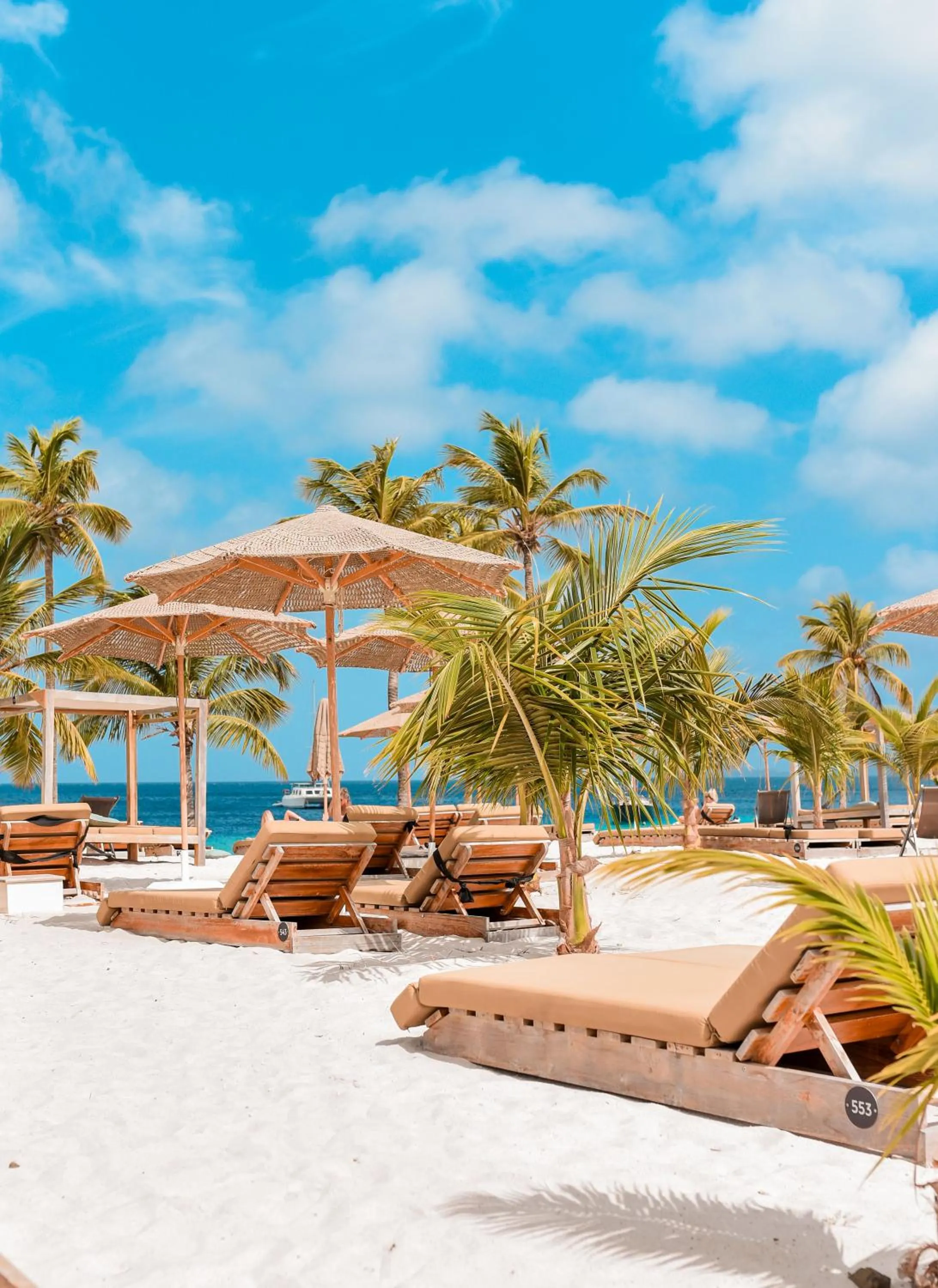 Day in Chogogo Dive & Beach Resort Bonaire