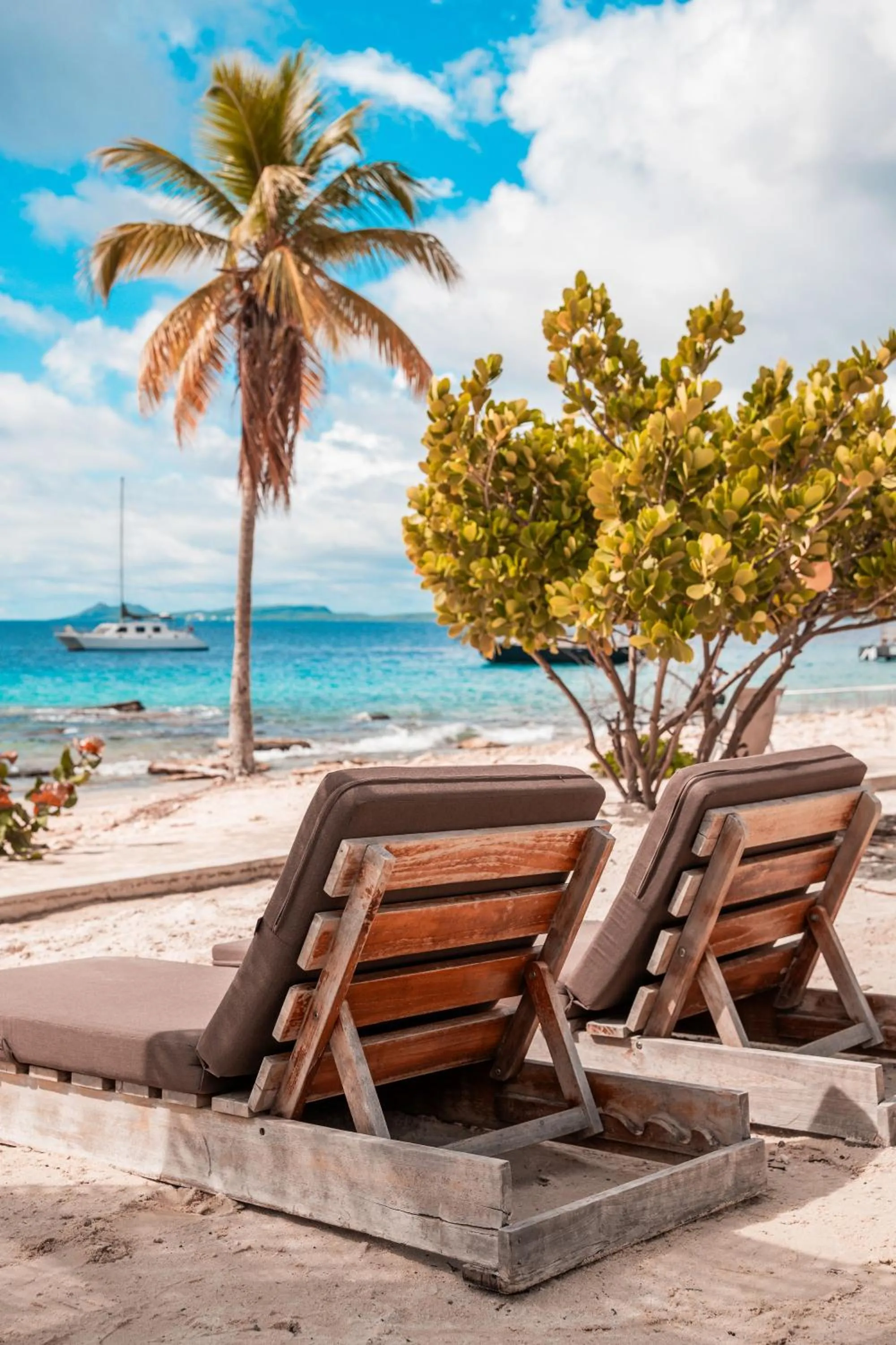 Beach in Chogogo Dive & Beach Resort Bonaire