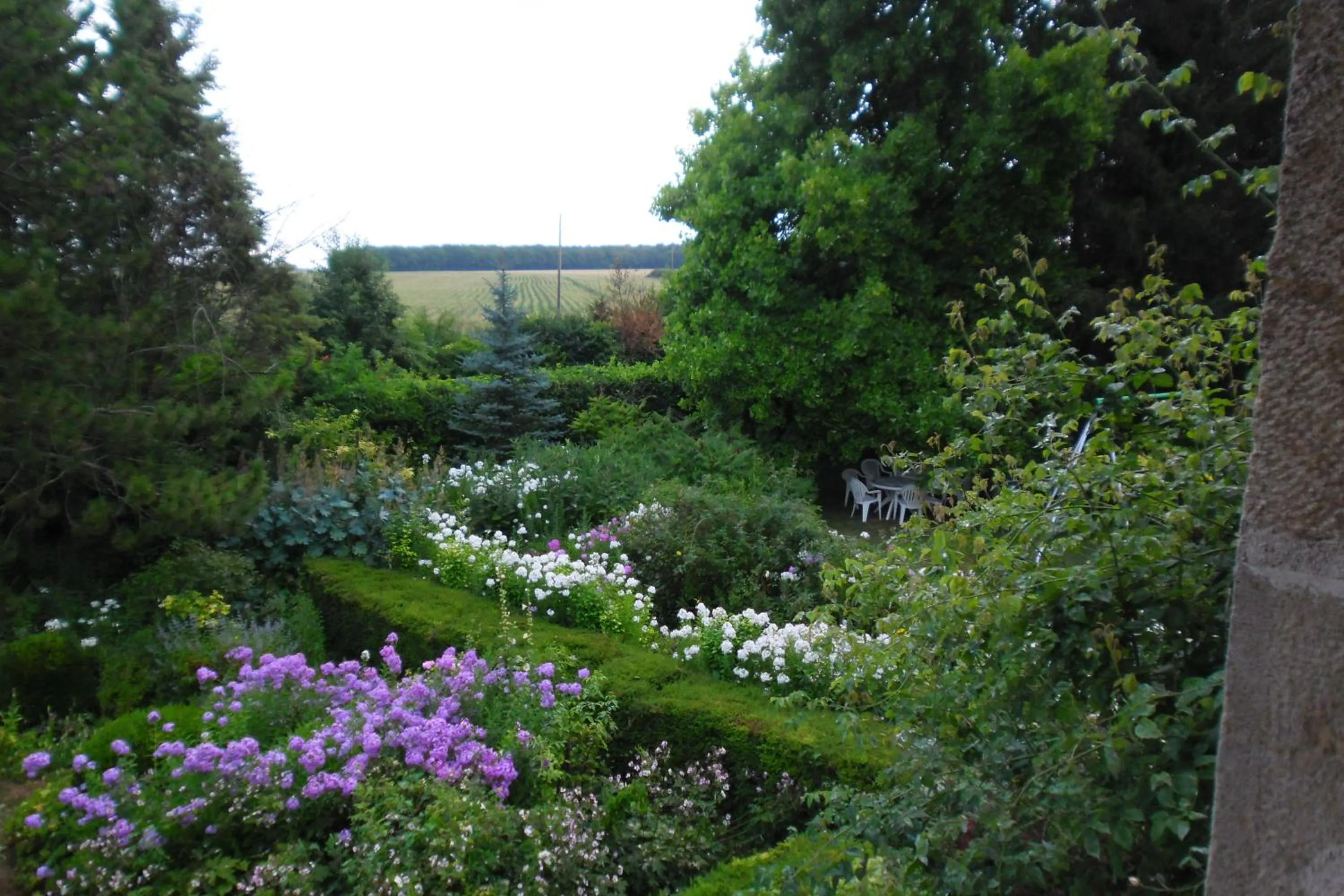 Garden in Domaine de Benveau