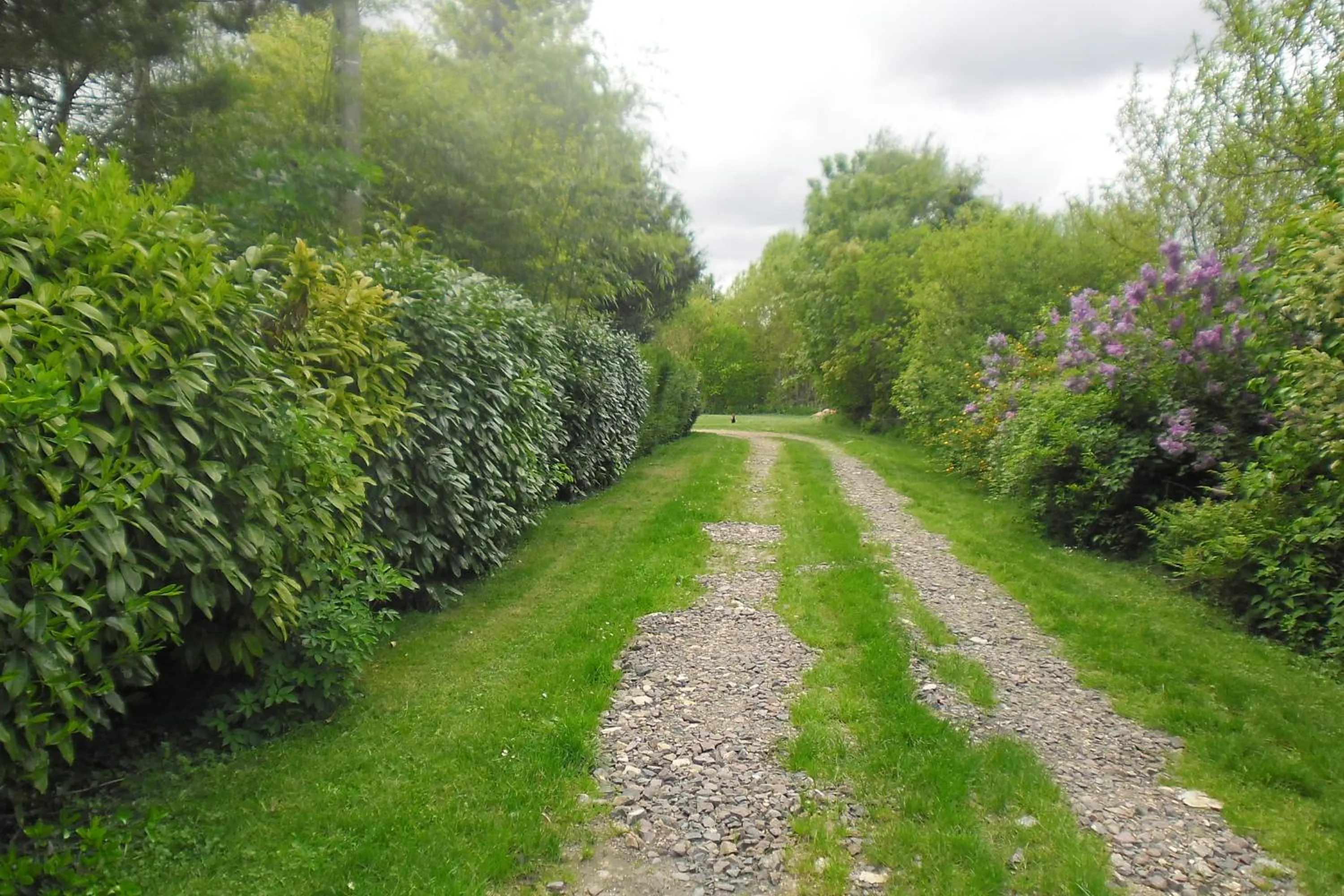 Garden in Domaine de Benveau