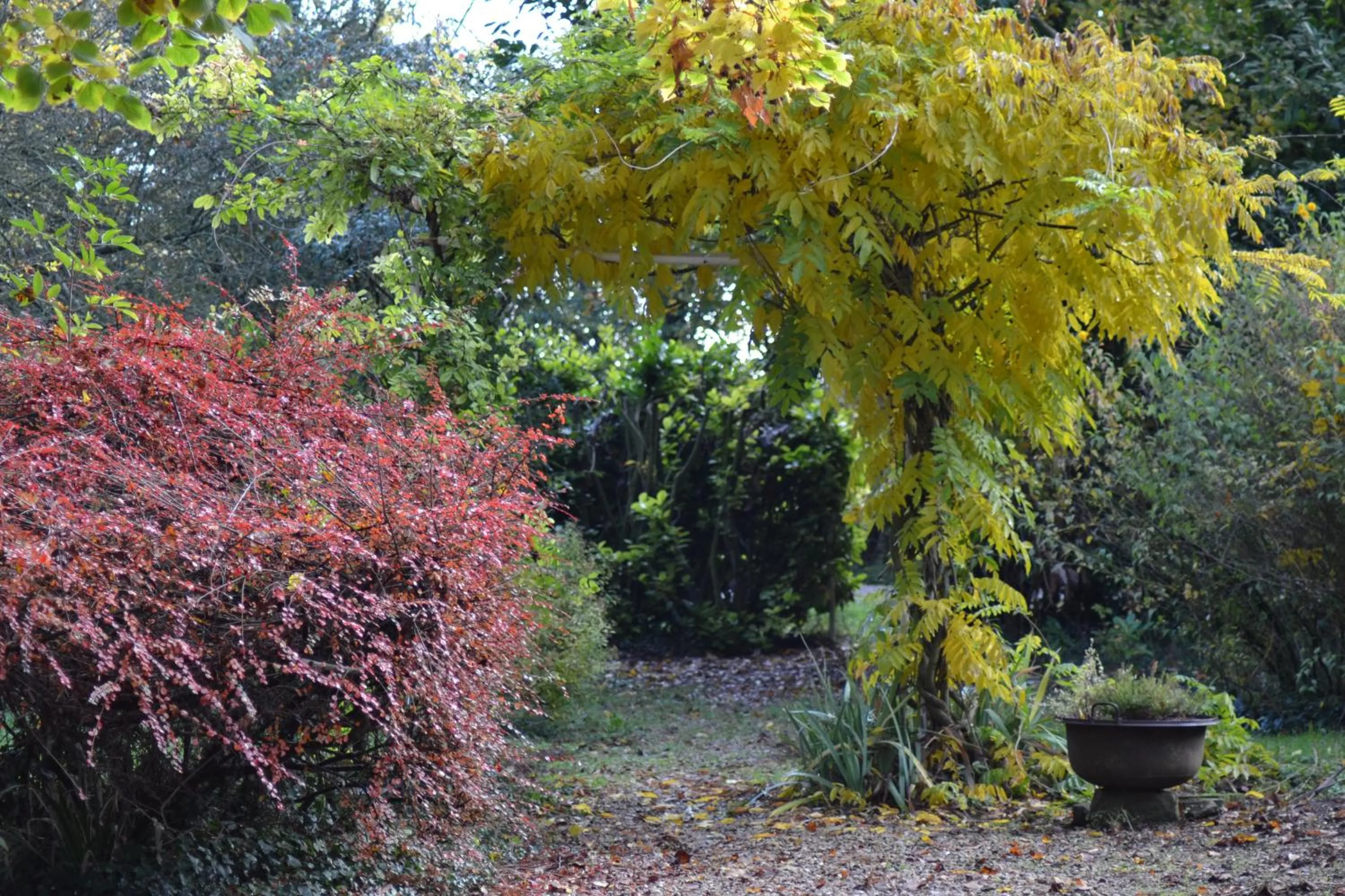 Garden in Domaine de Benveau
