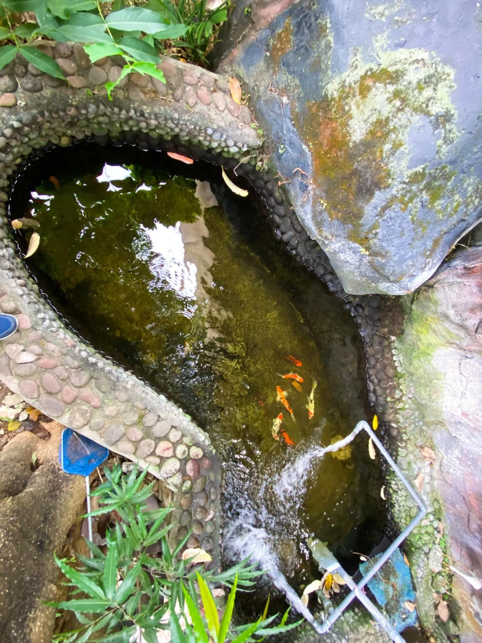 Garden view in Homey Guesthouse near Sby Zoo Syariah