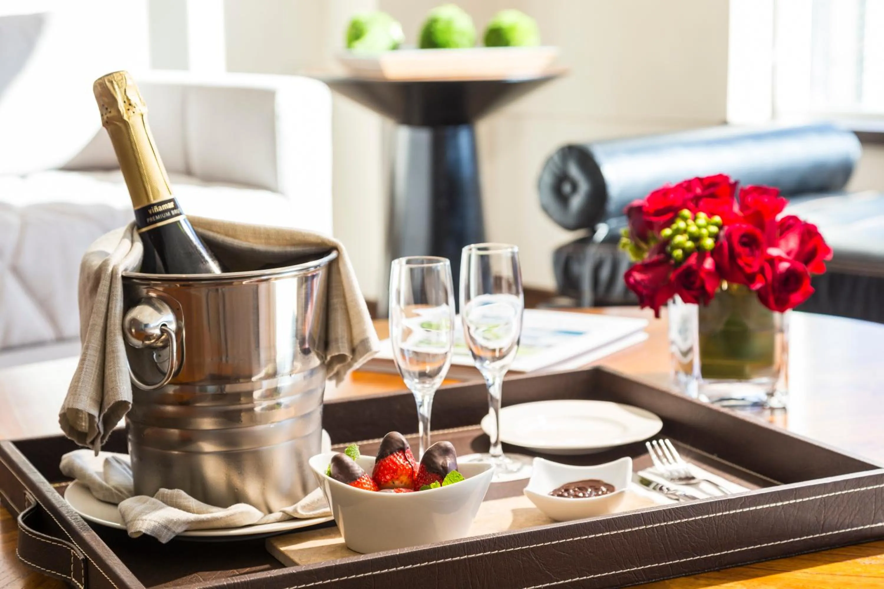 Decorative detail in Radisson Blu Plaza El Bosque Santiago