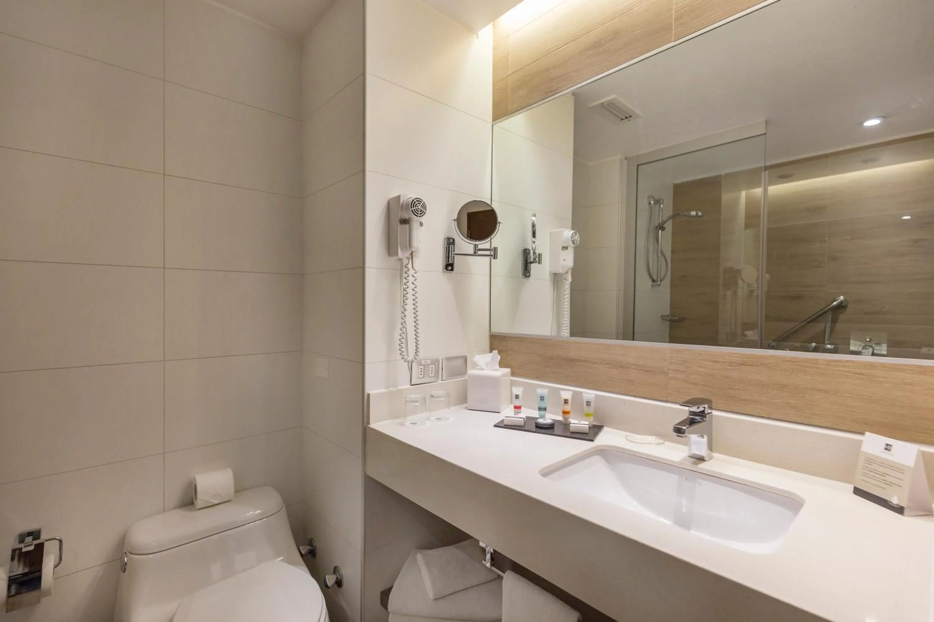 Bathroom in Radisson Blu Plaza El Bosque Santiago