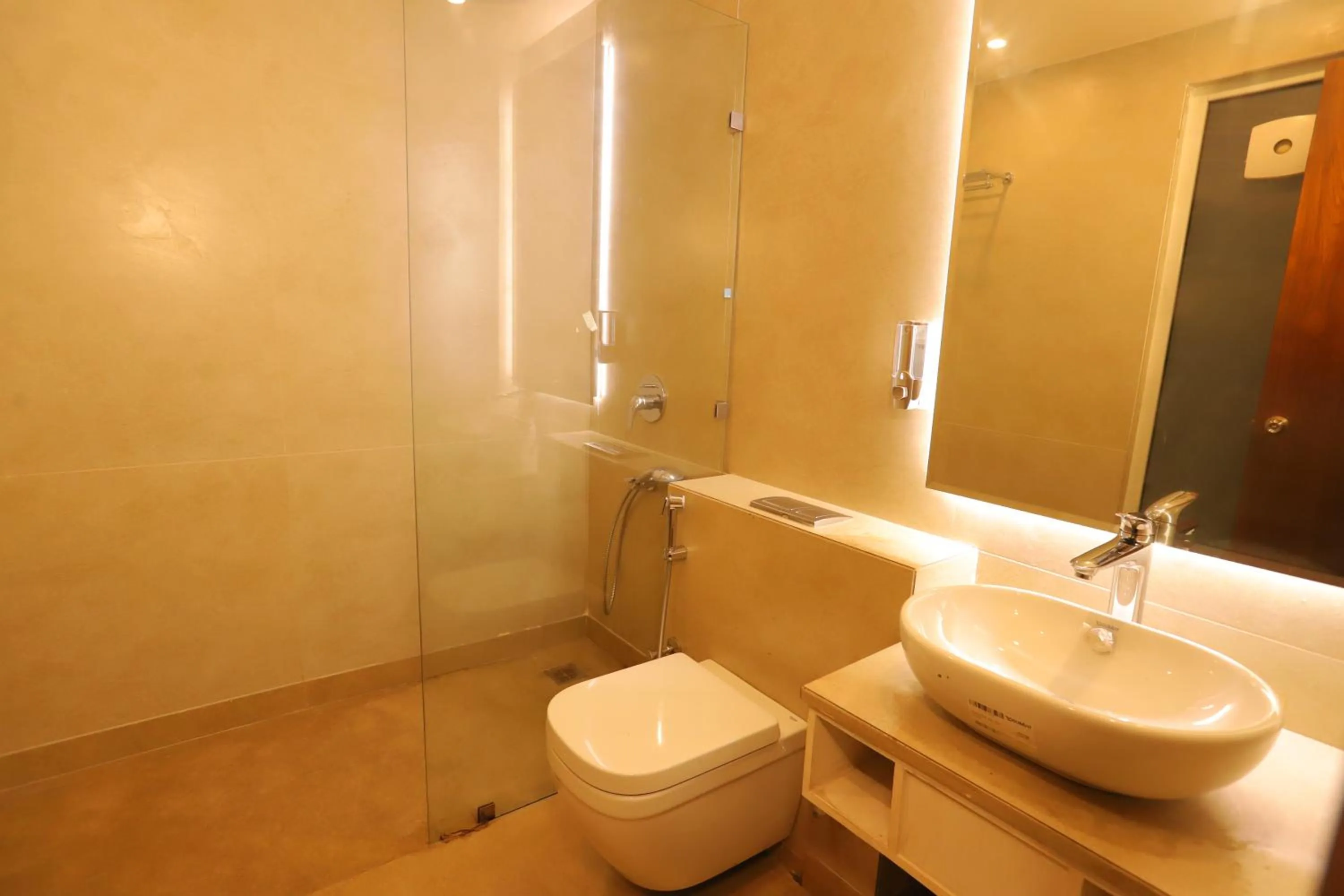 Bathroom in IP Royal Hotel - New Delhi
