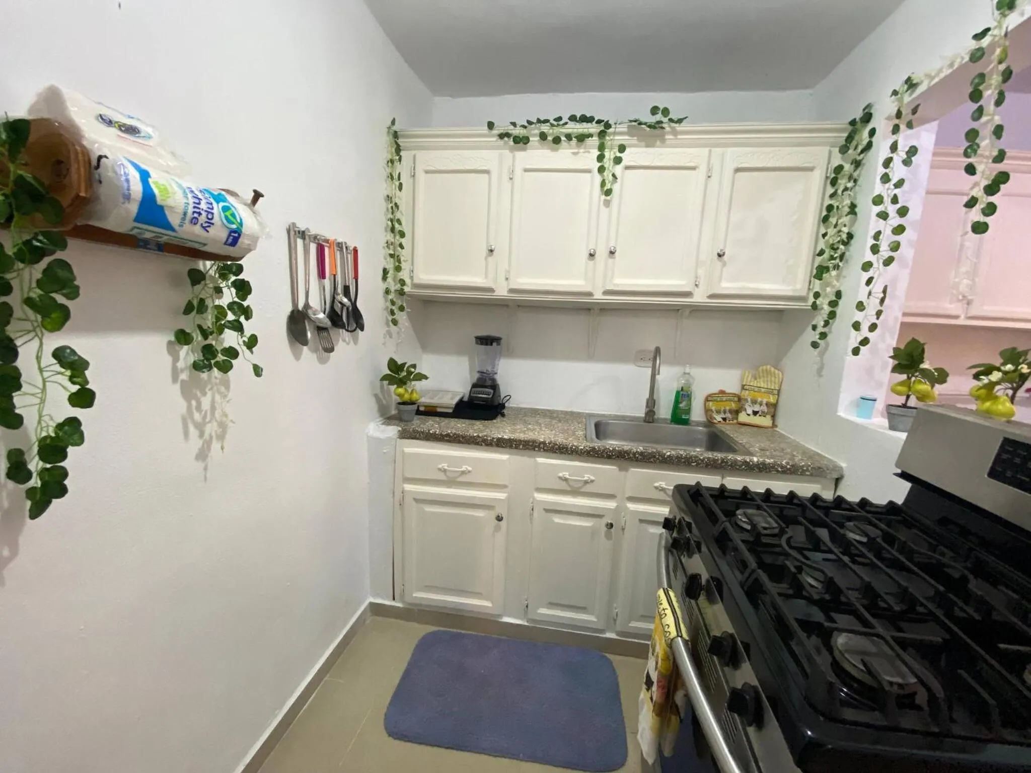 Dr Adorable Y Comfortable Apt para Su Disfrute