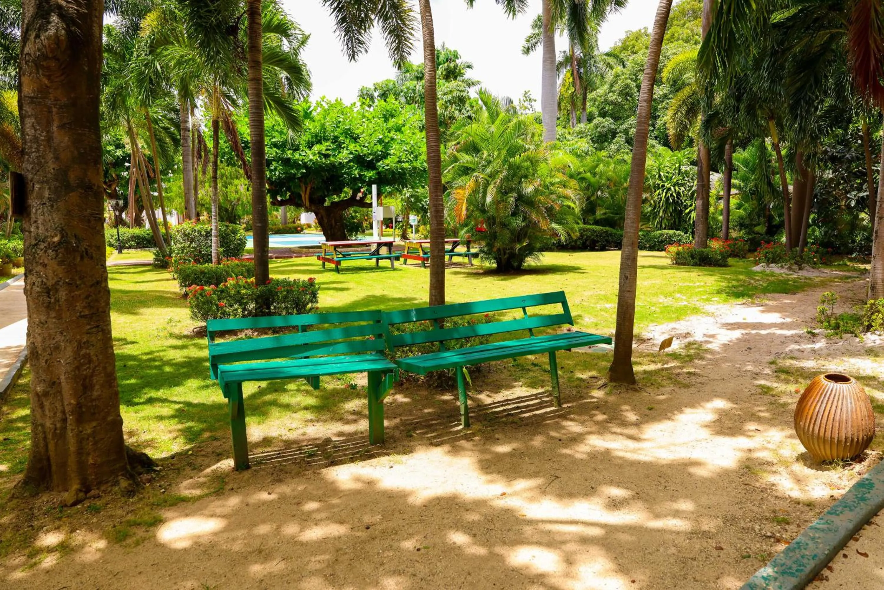 Day in Grand Decameron Montego Beach, A Trademark All-Inclusive Resort