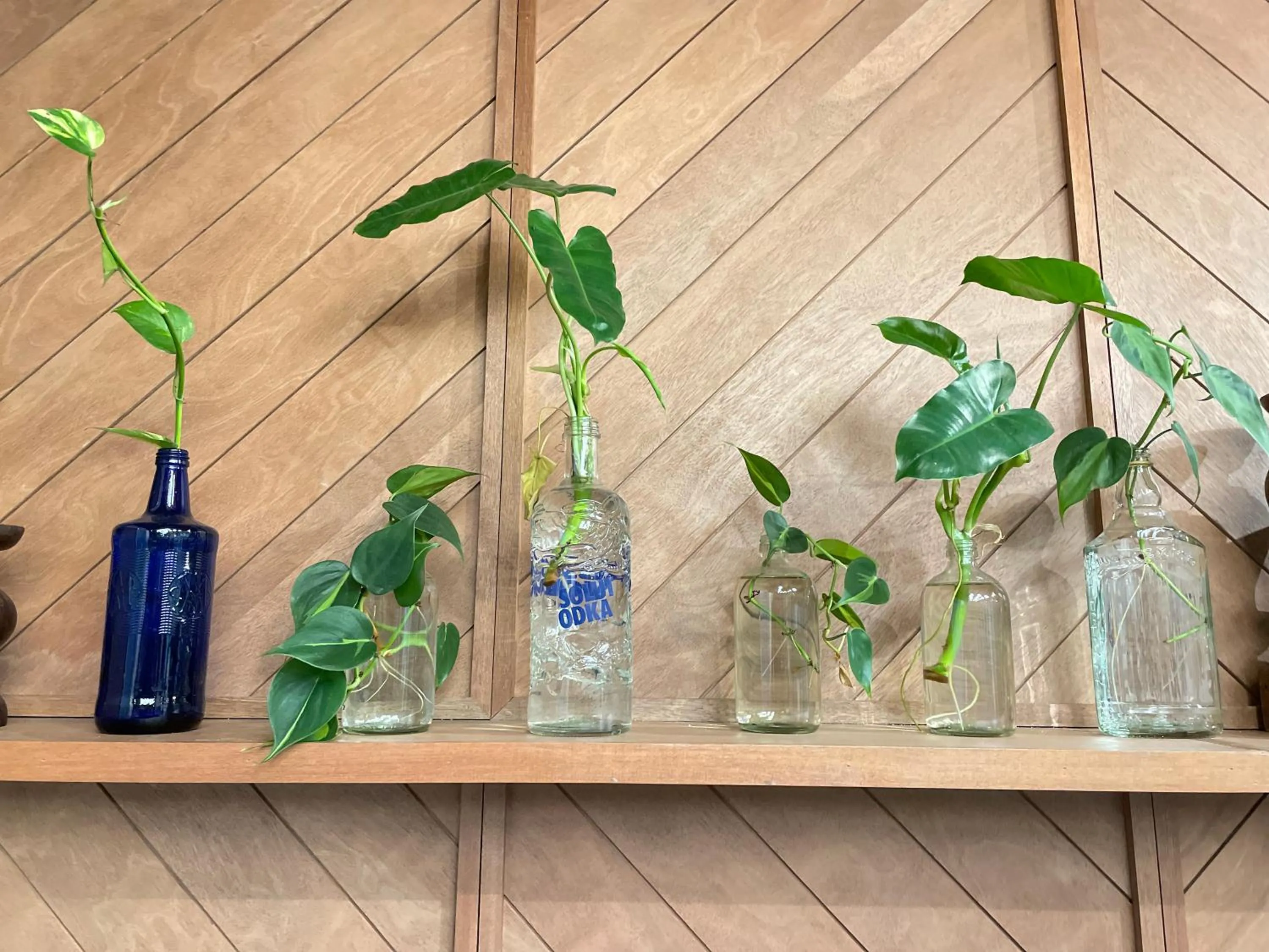 Property building in GalileOasis Boutique Hotel