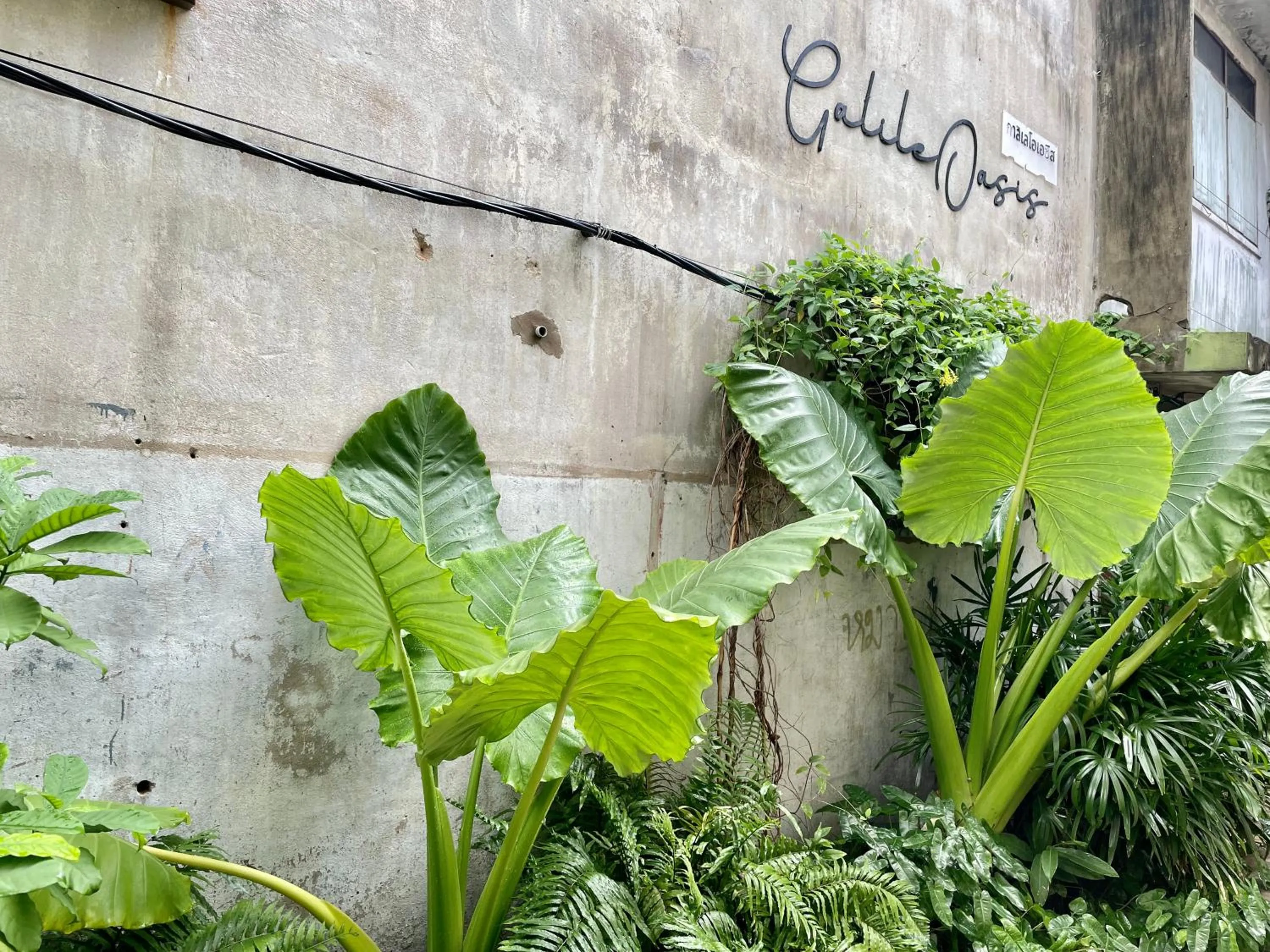 Property logo or sign in GalileOasis Boutique Hotel