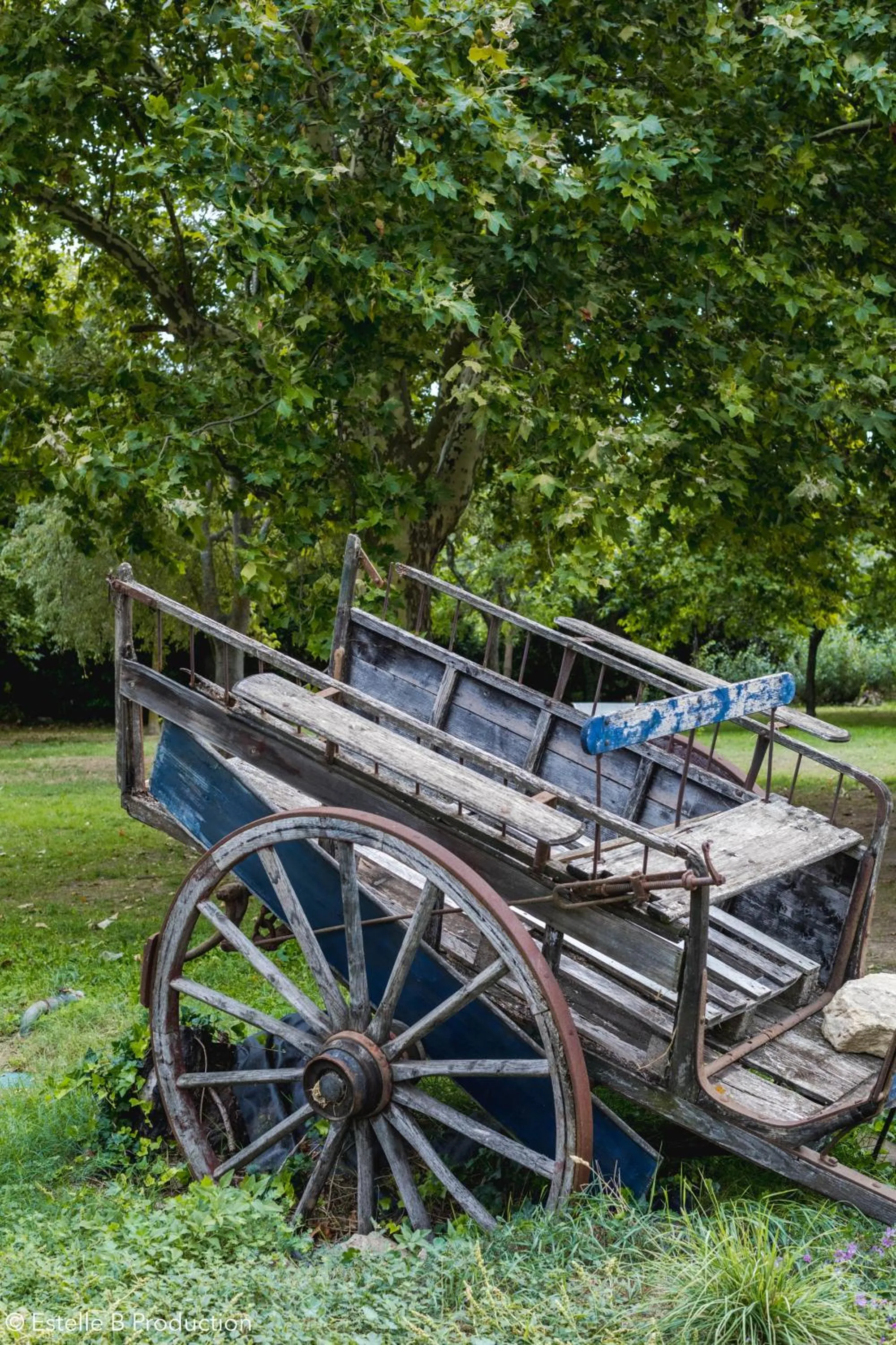 Garden in Domaine de la Reynaude